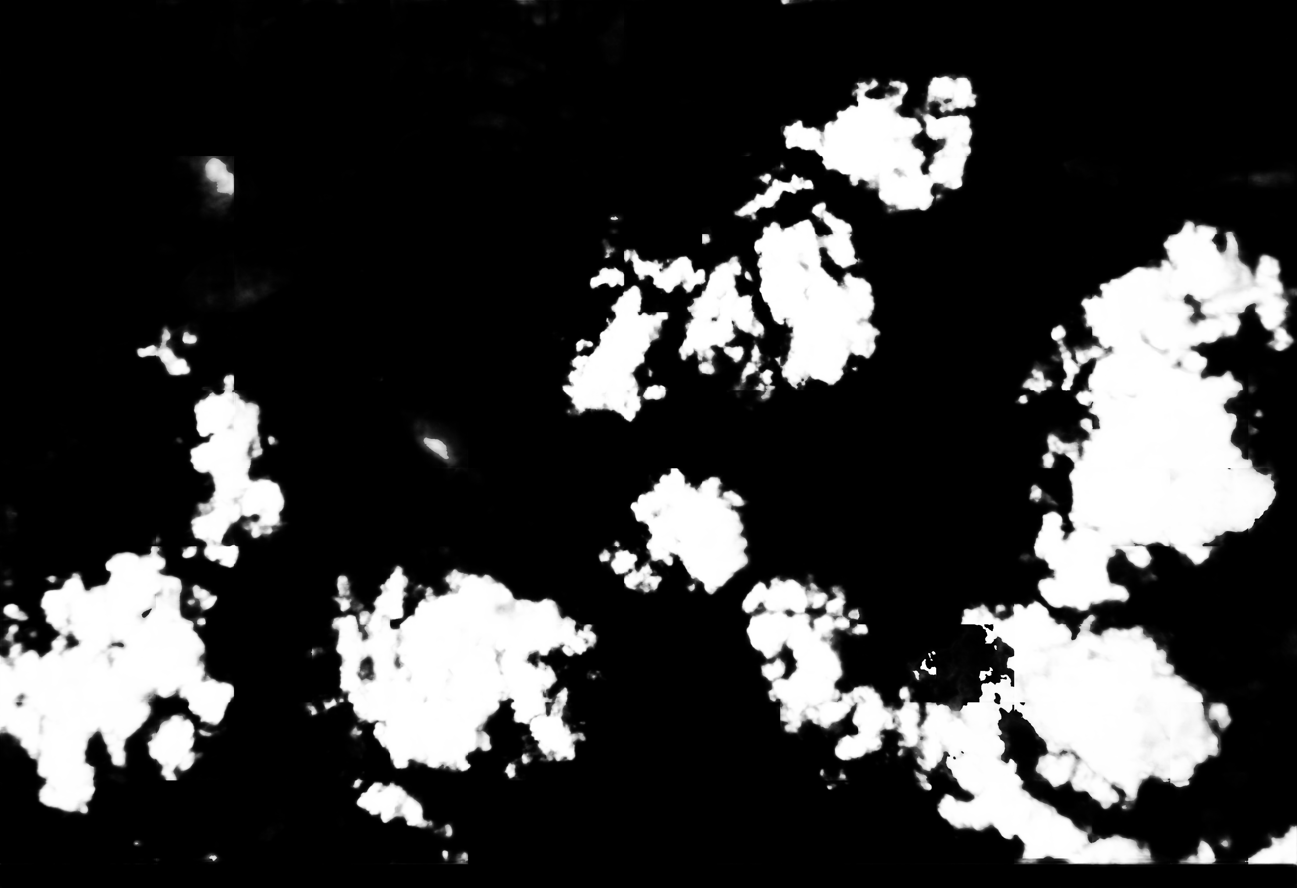 cloud mask image display 