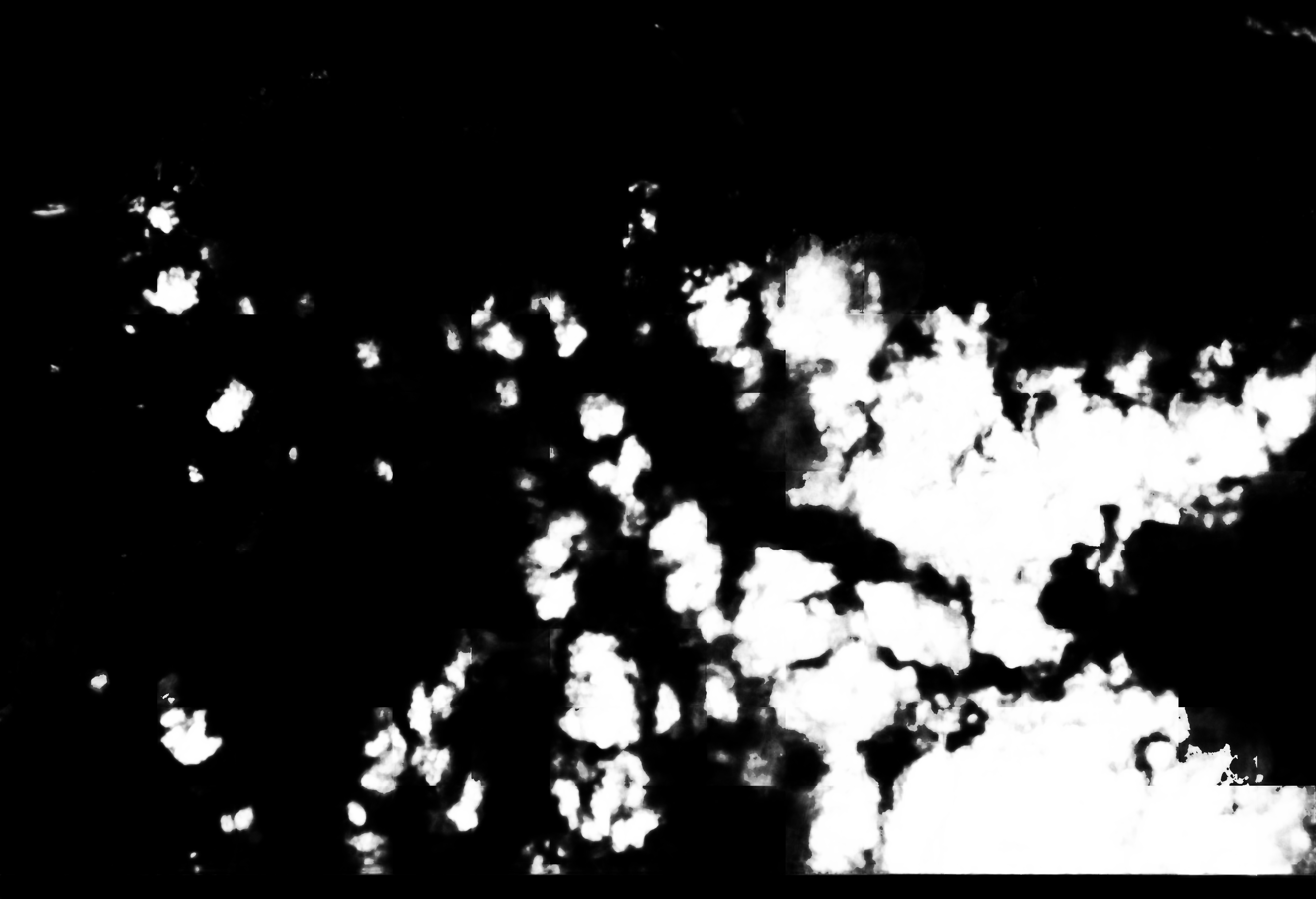 cloud mask image display 