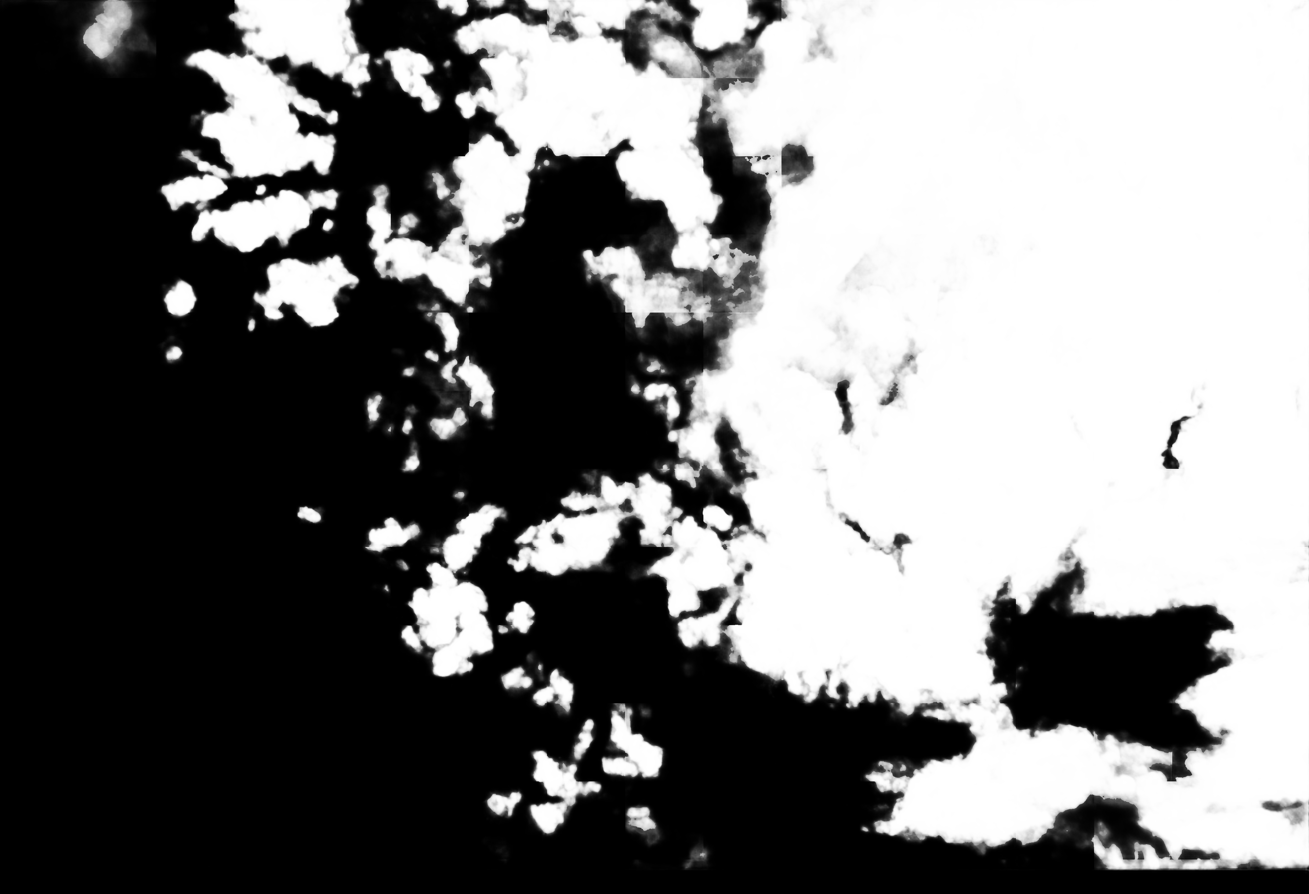 cloud mask image display 