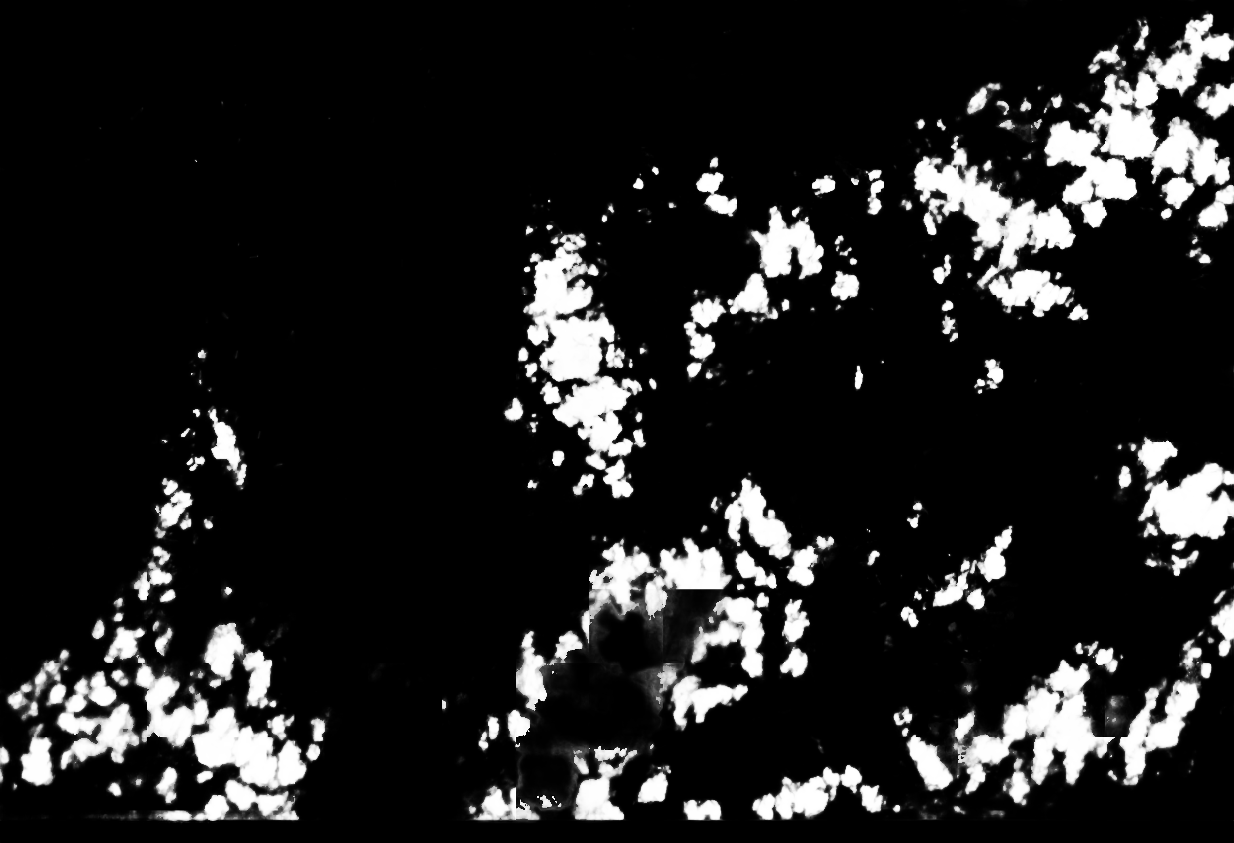 cloud mask image display 