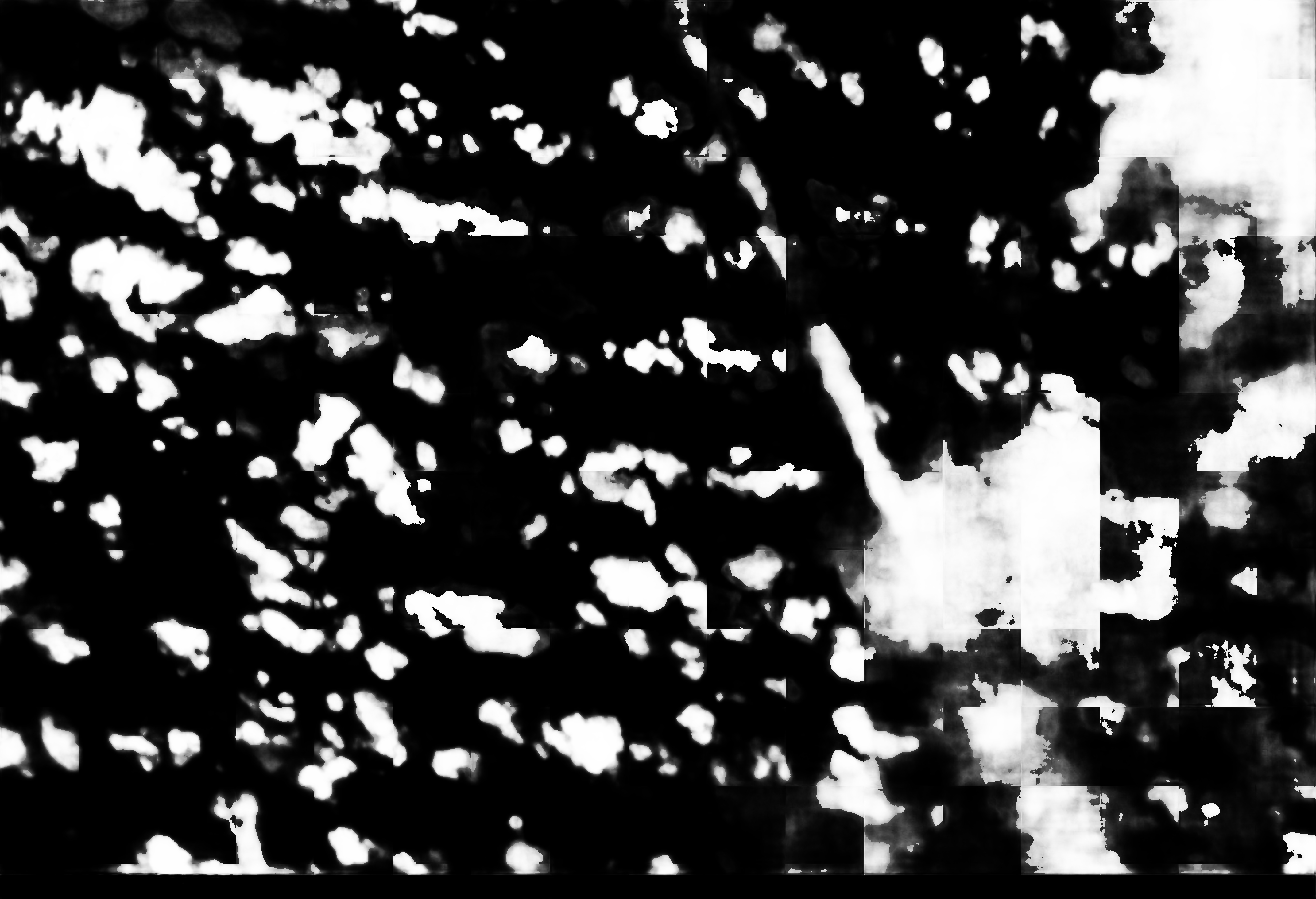 cloud mask image display 