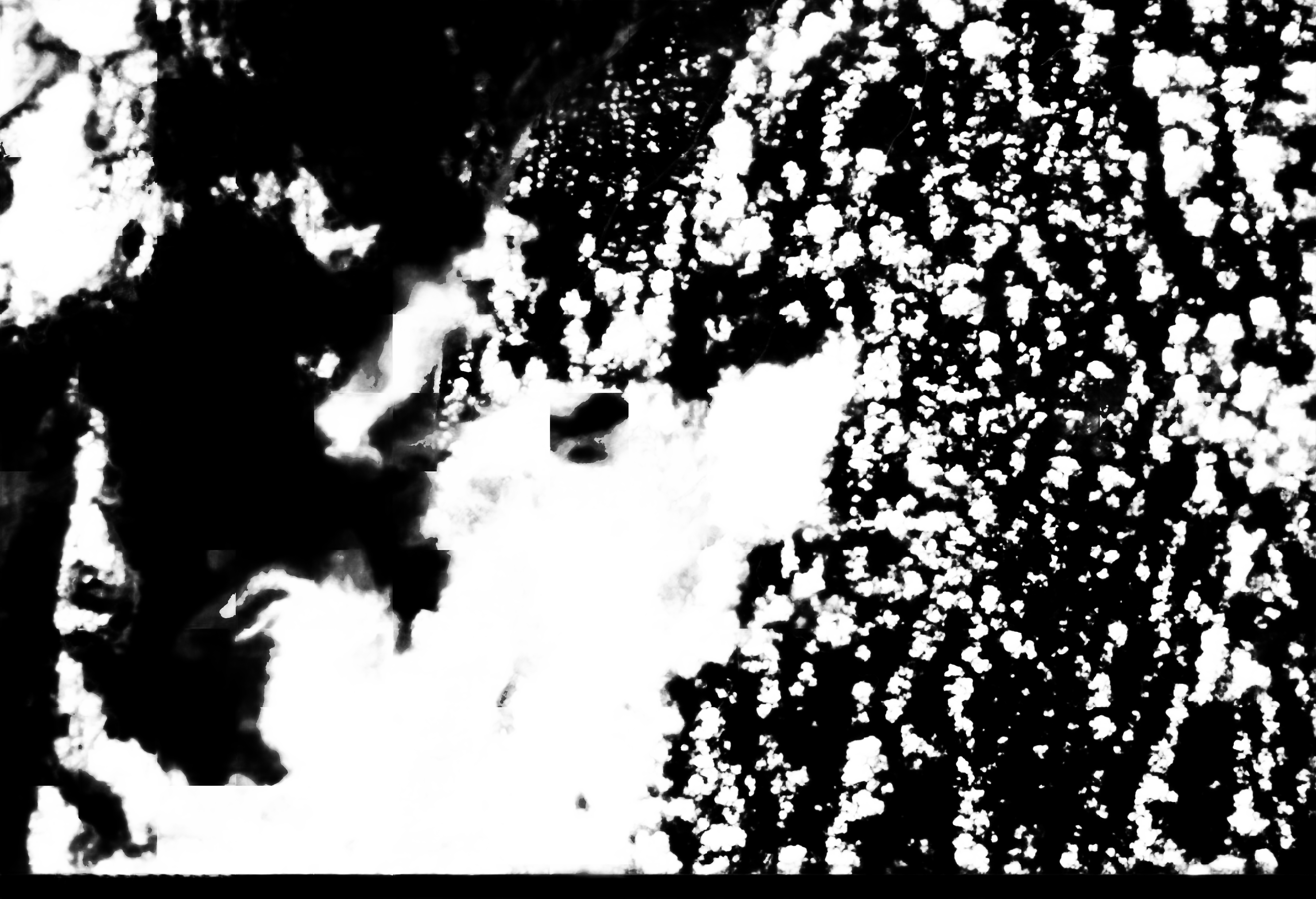 cloud mask image display 