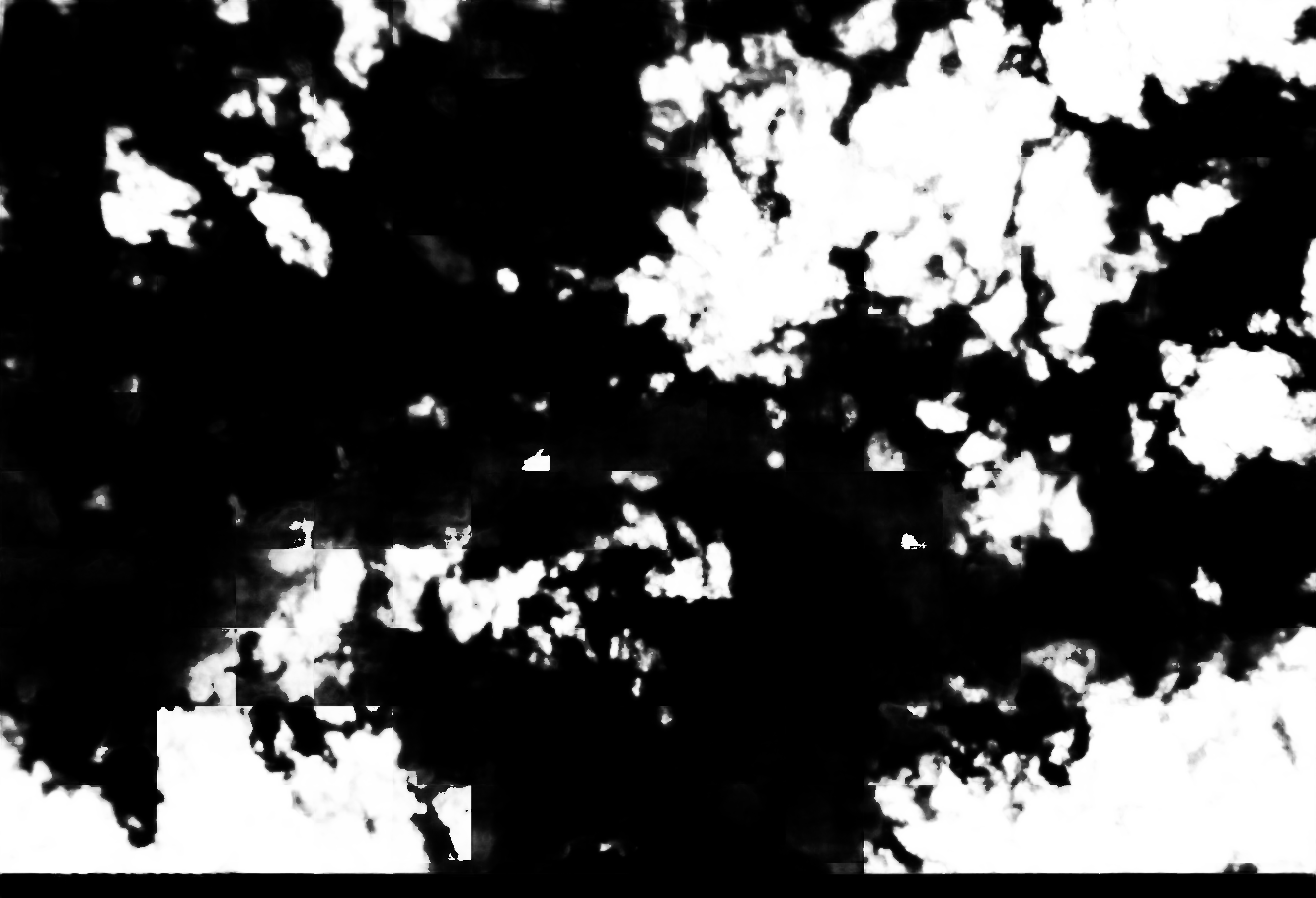 cloud mask image display 