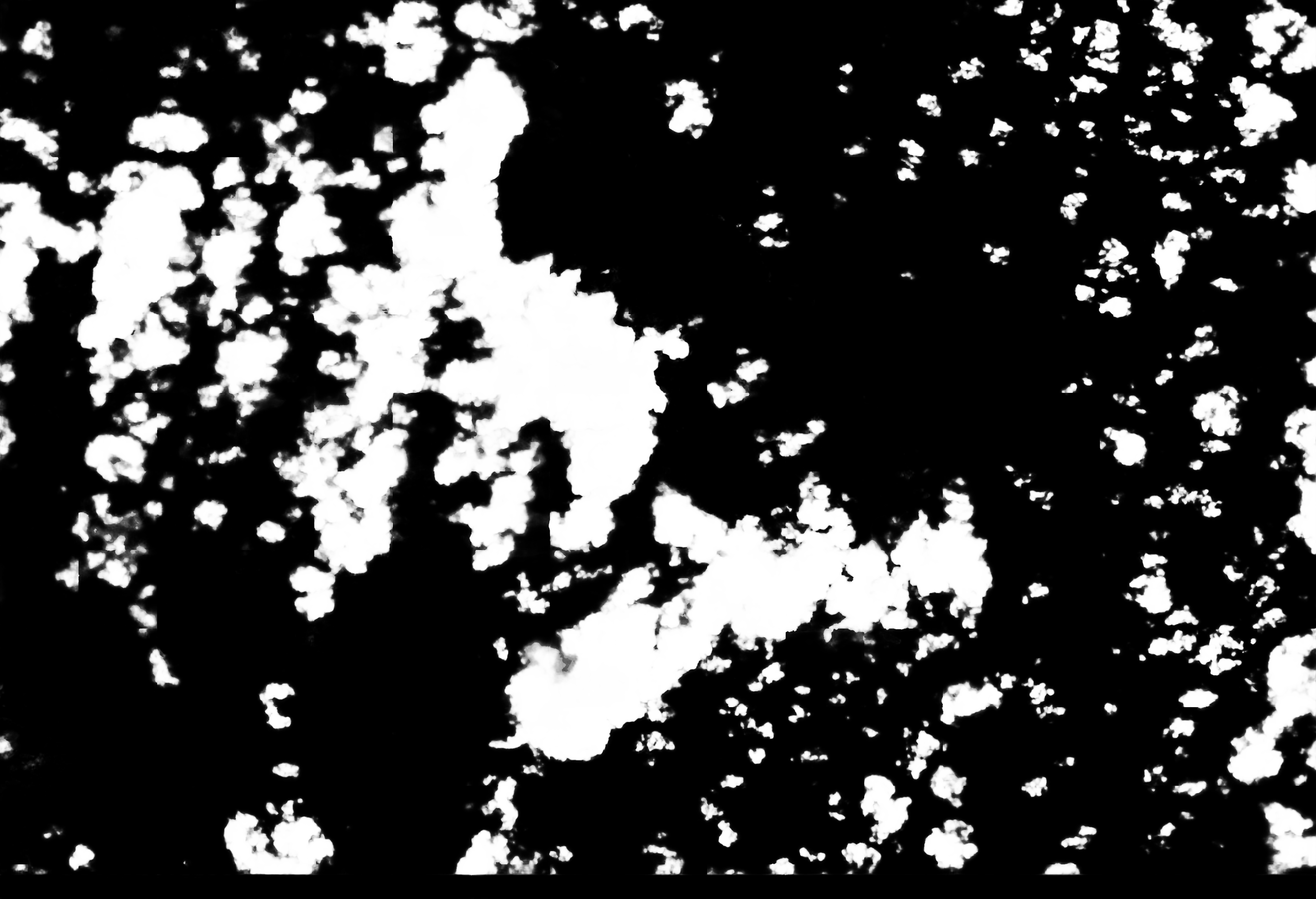 cloud mask image display 