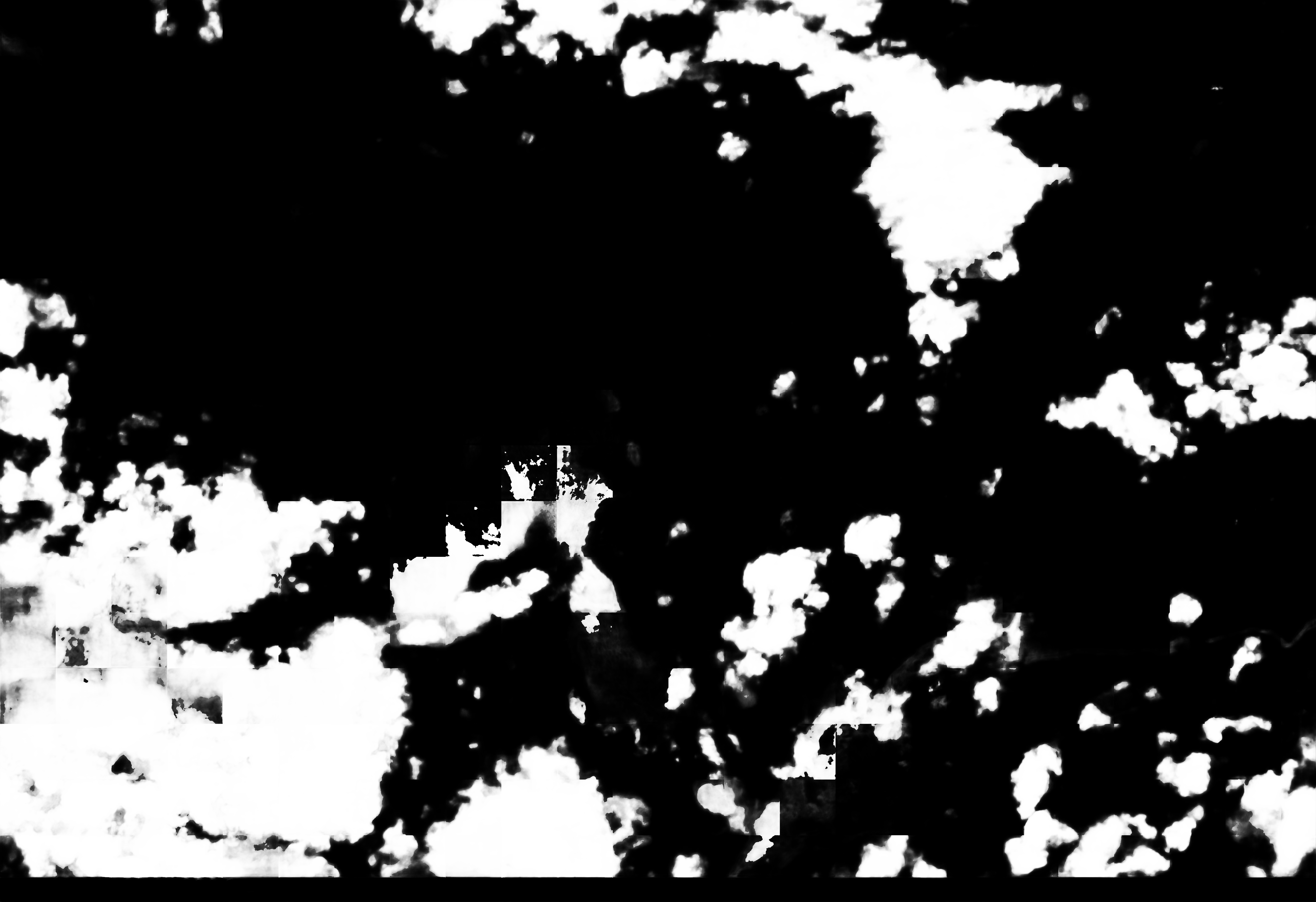 cloud mask image display 