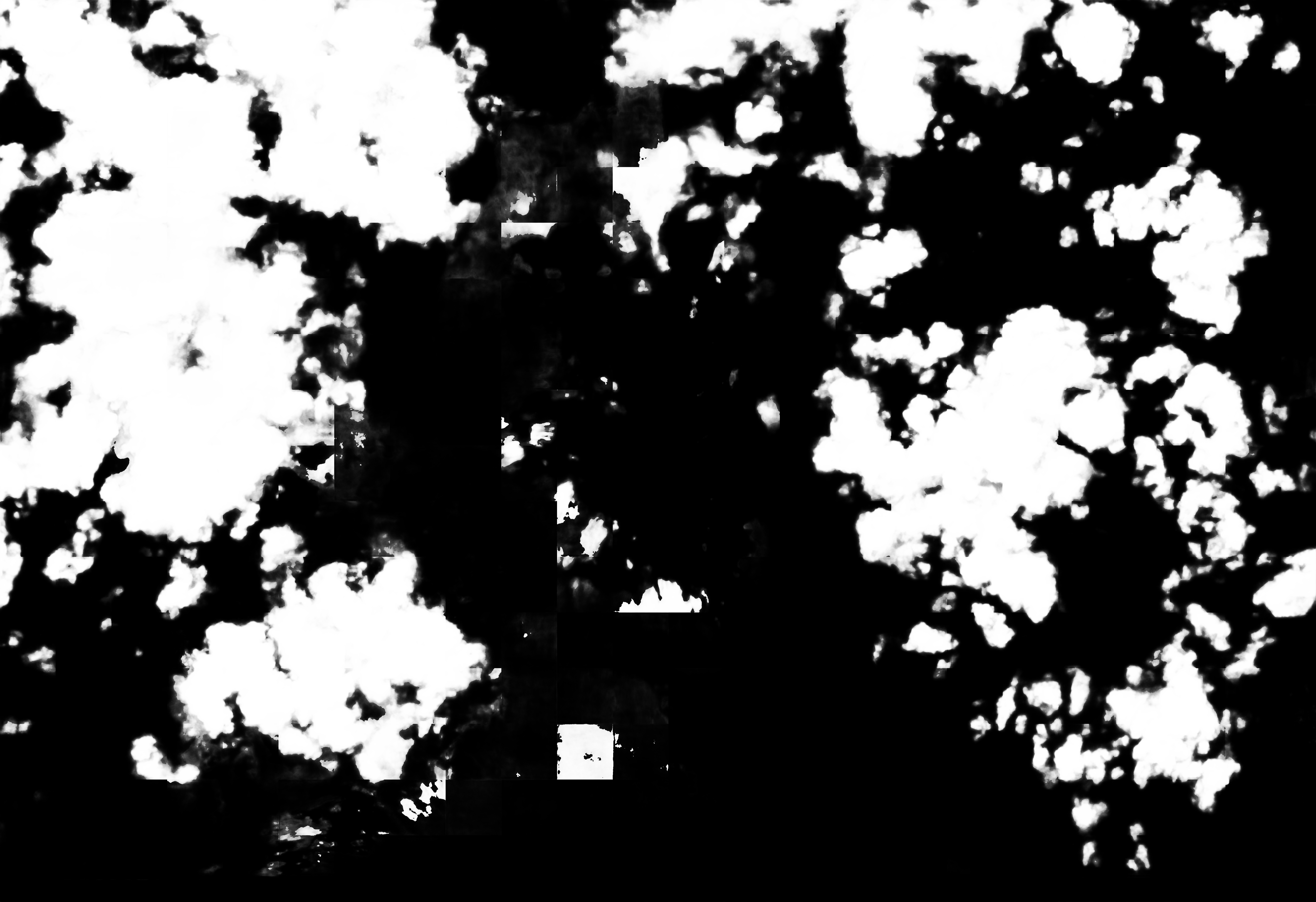 cloud mask image display 