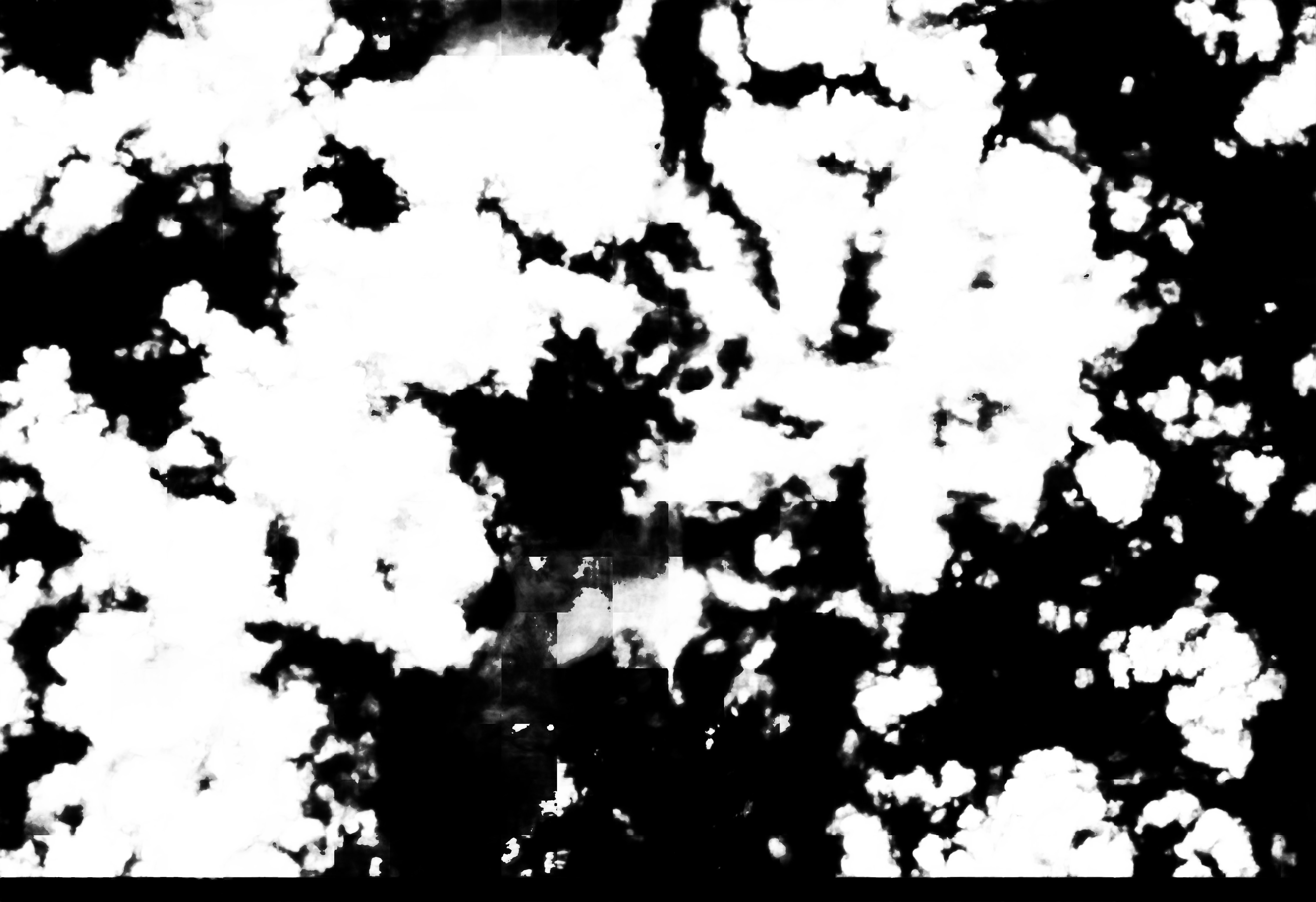 cloud mask image display 