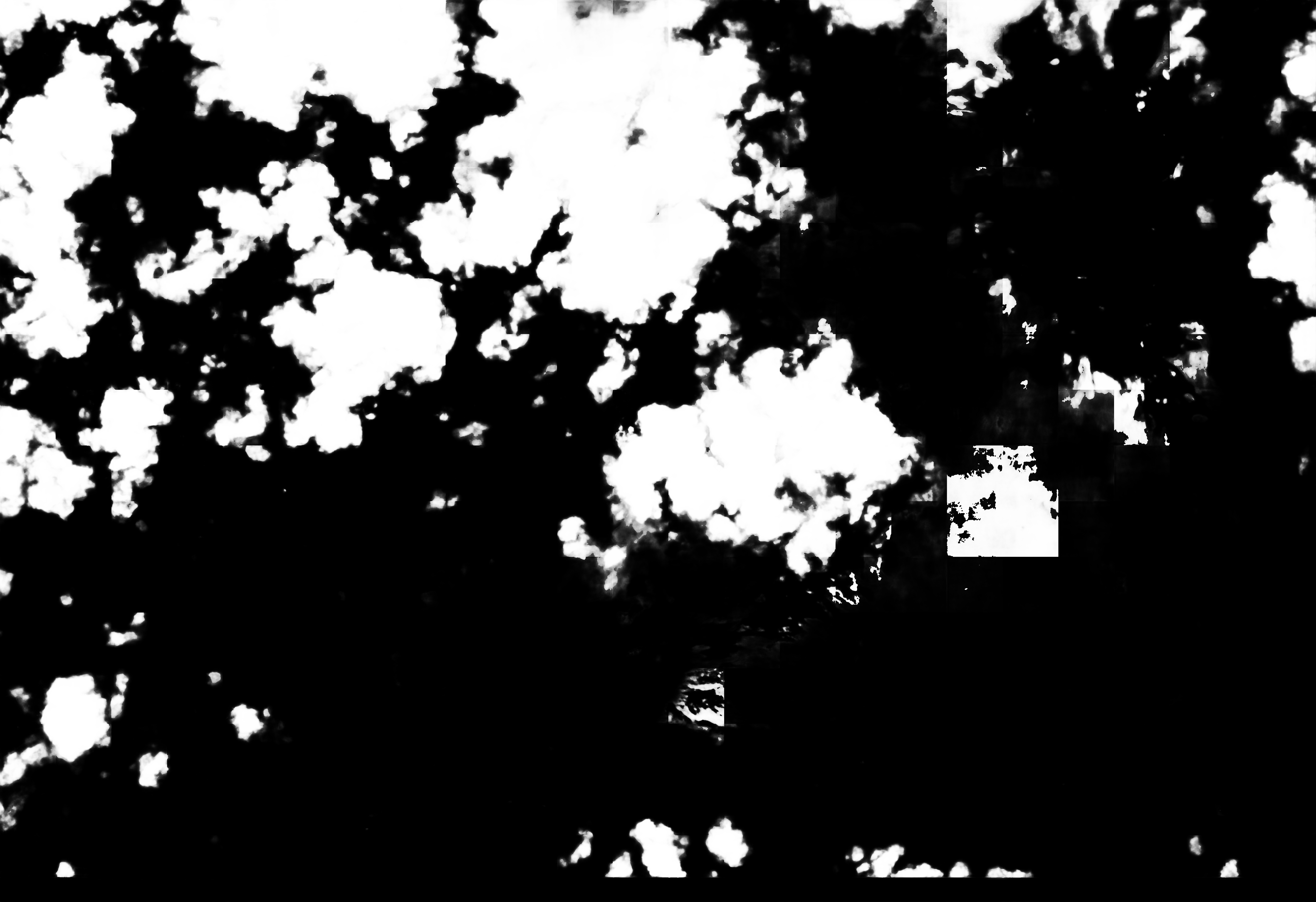 cloud mask image display 