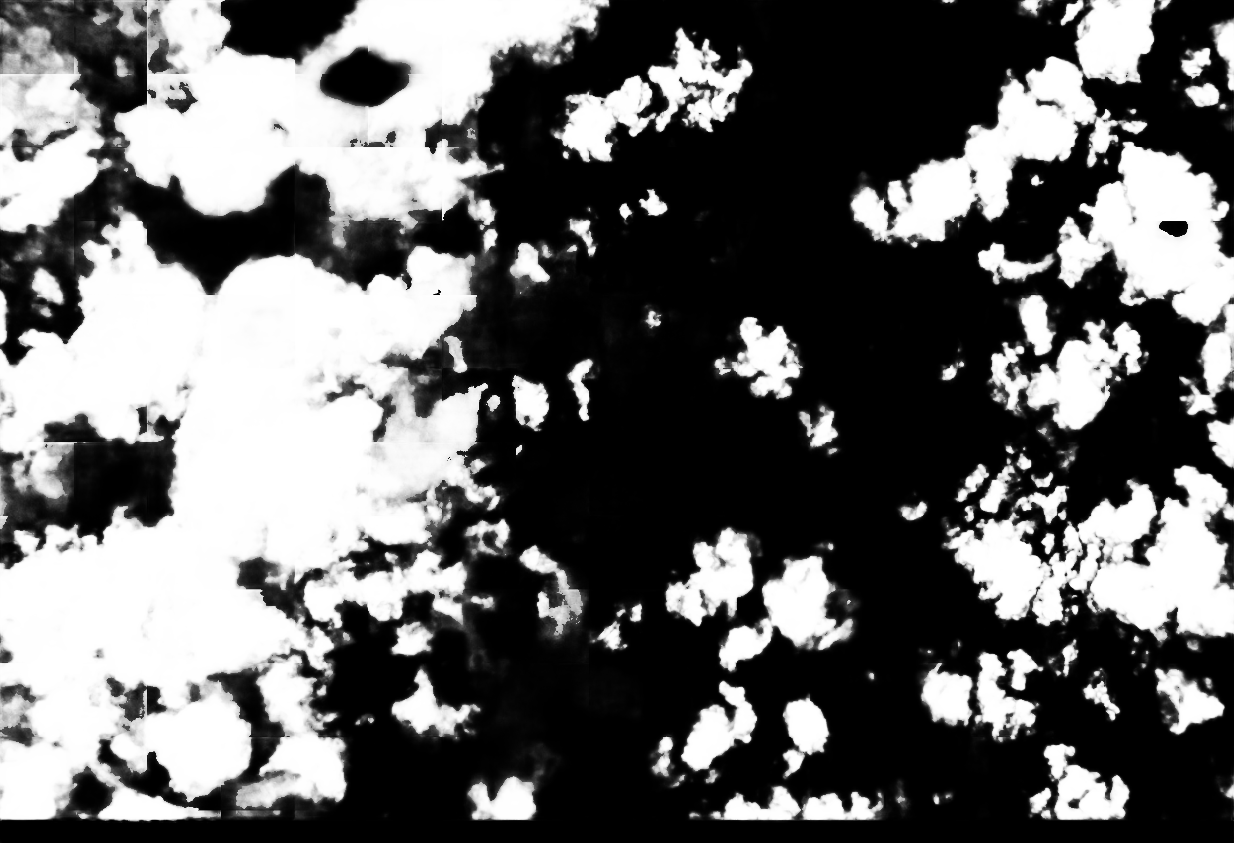 cloud mask image display 