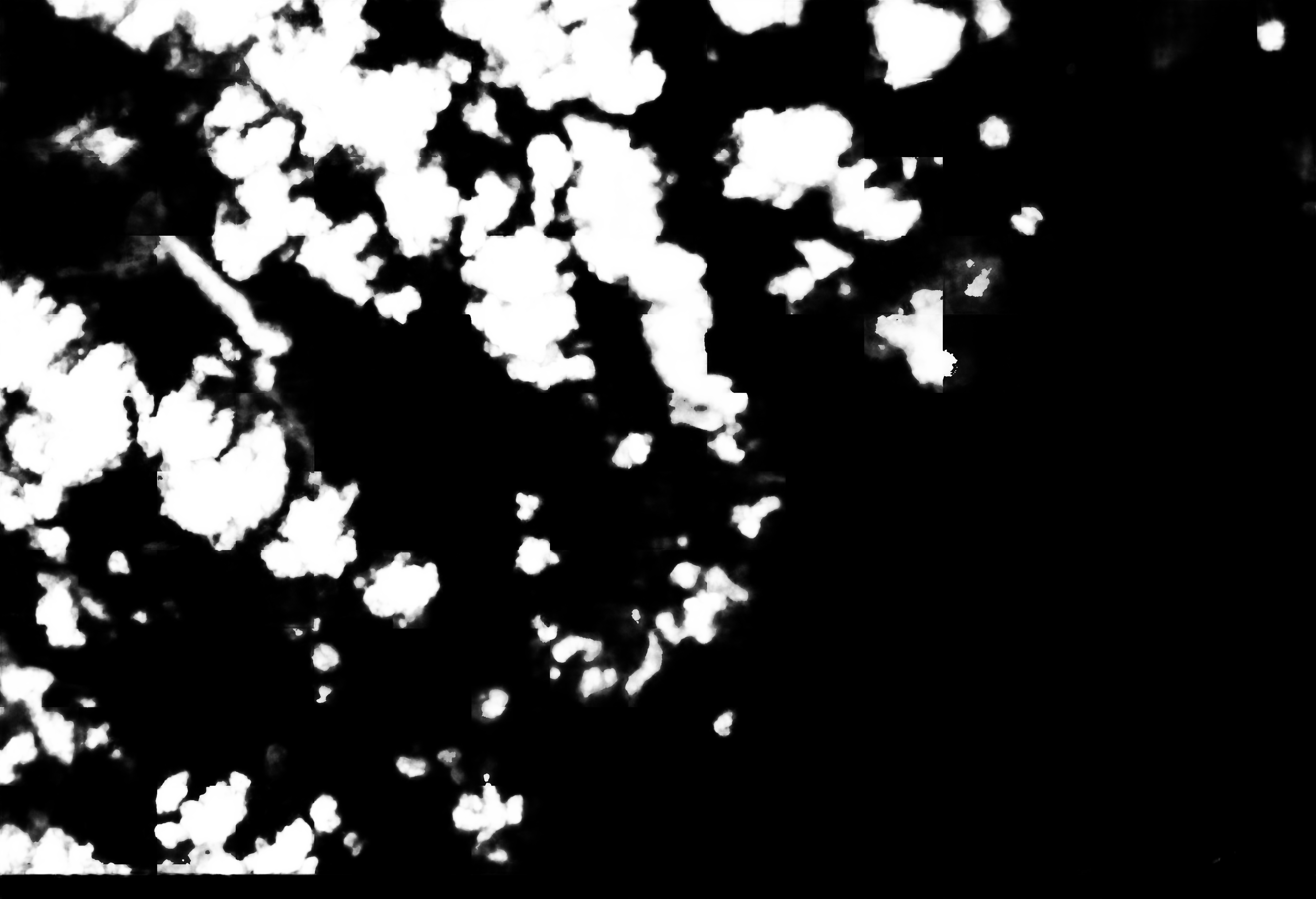 cloud mask image display 