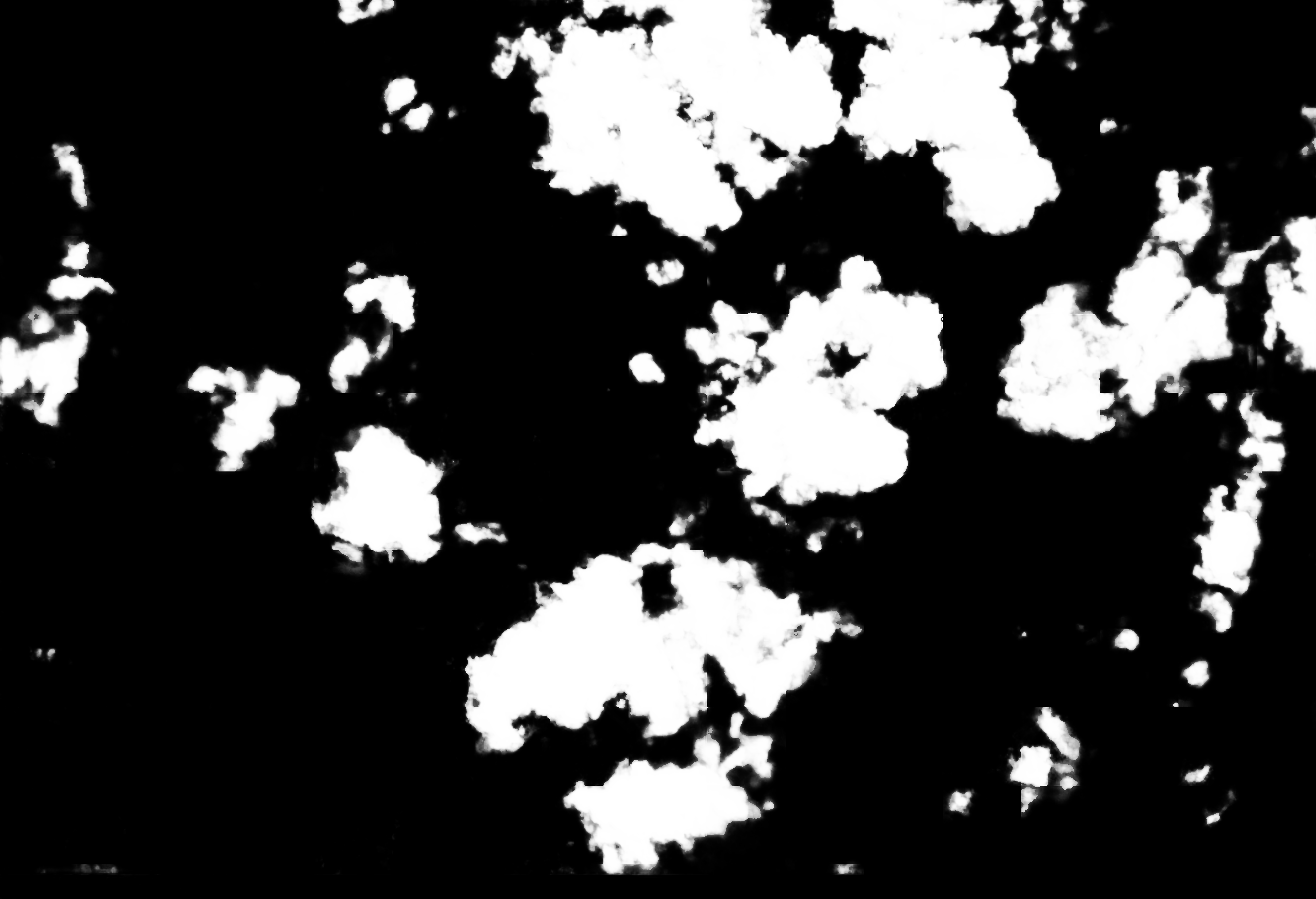 cloud mask image display 