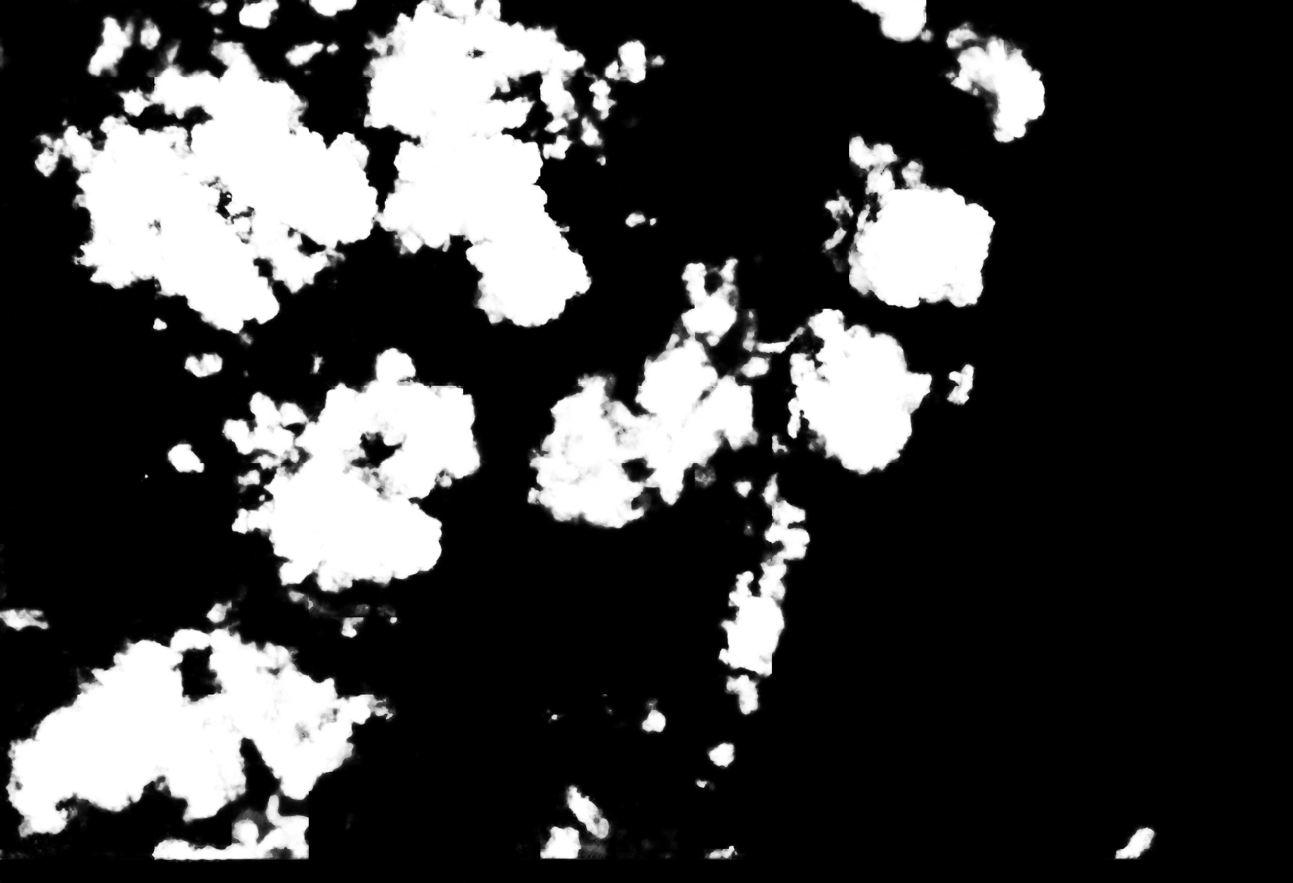 cloud mask image display 