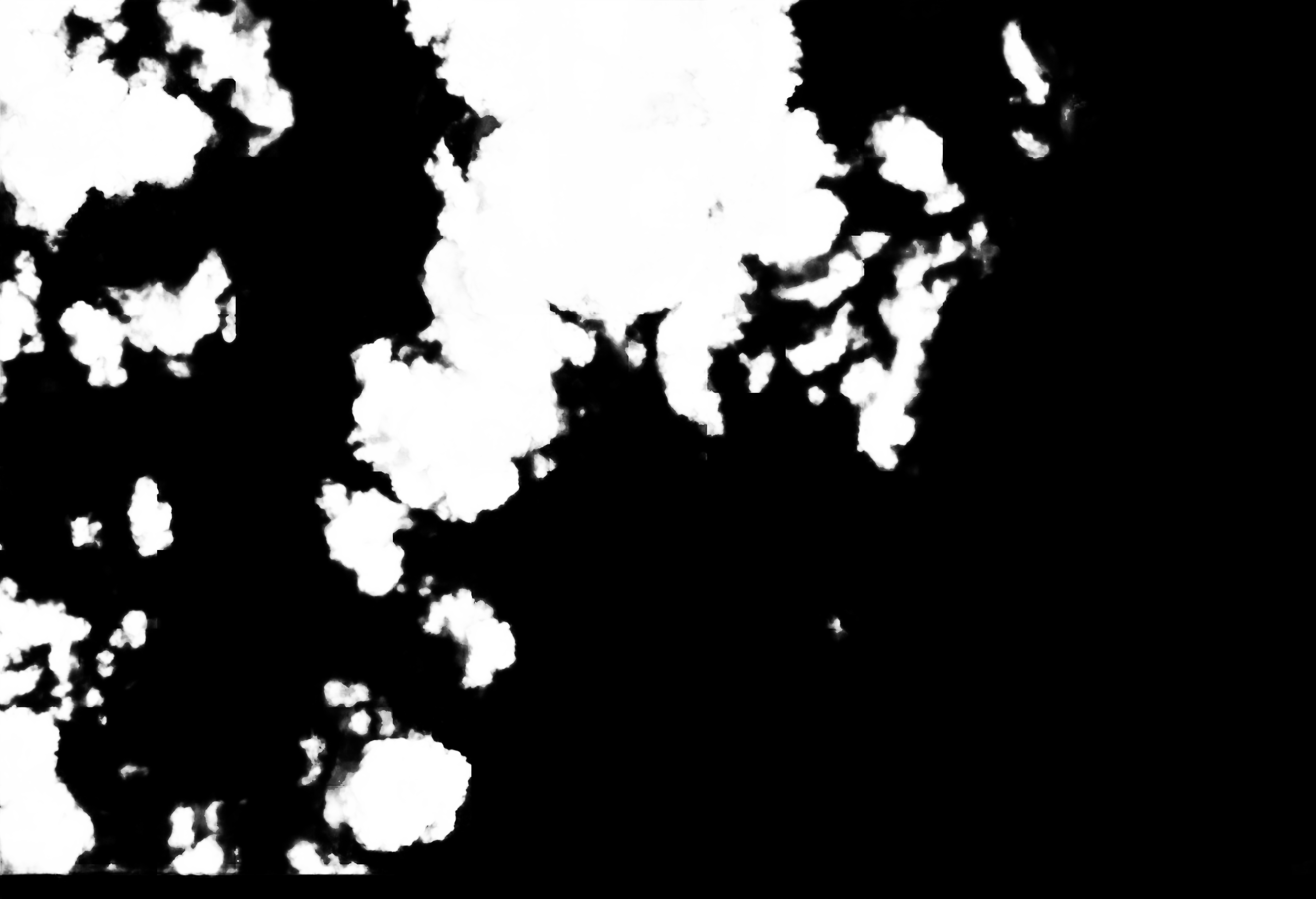 cloud mask image display 