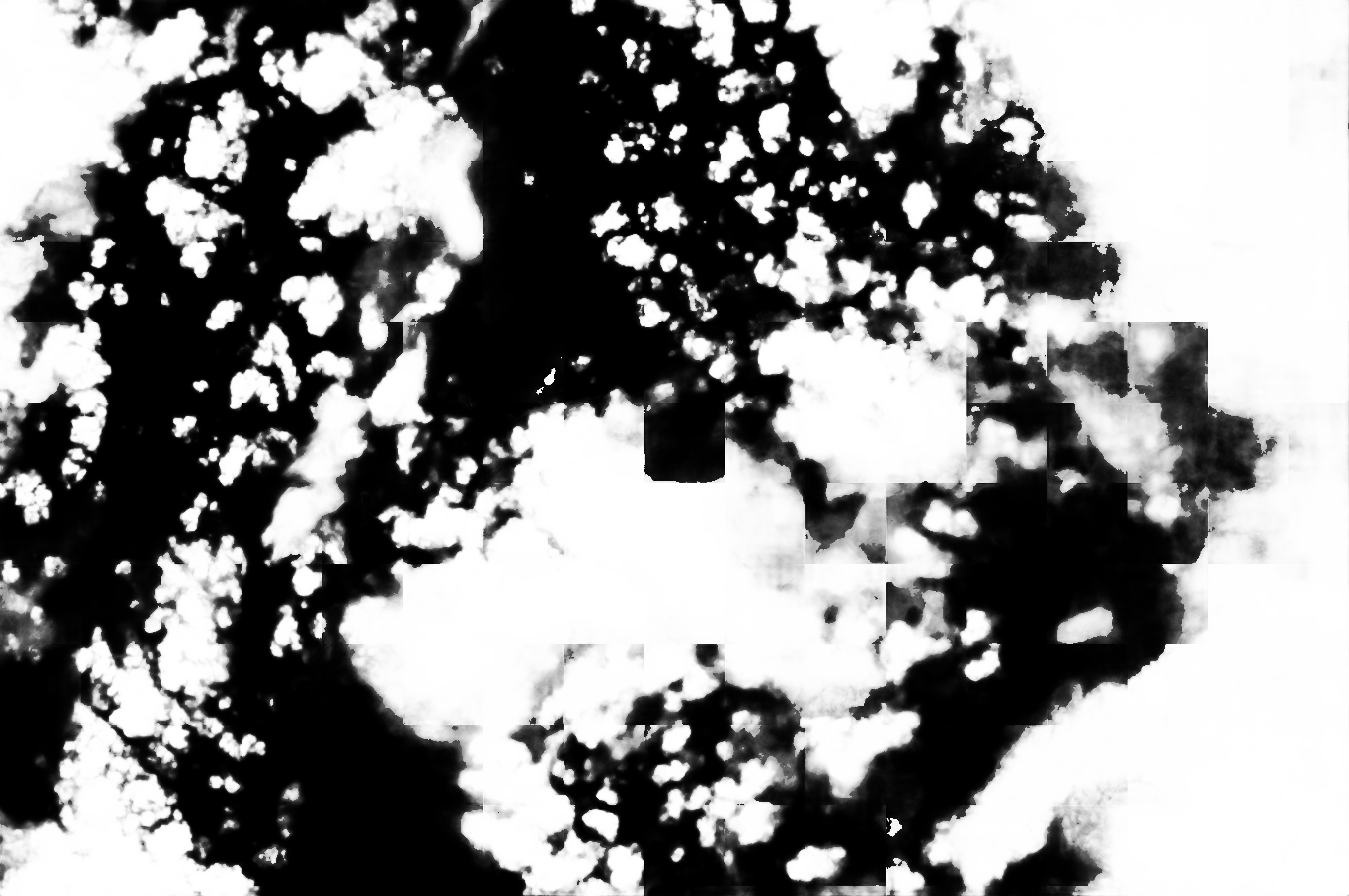 cloud mask image display 