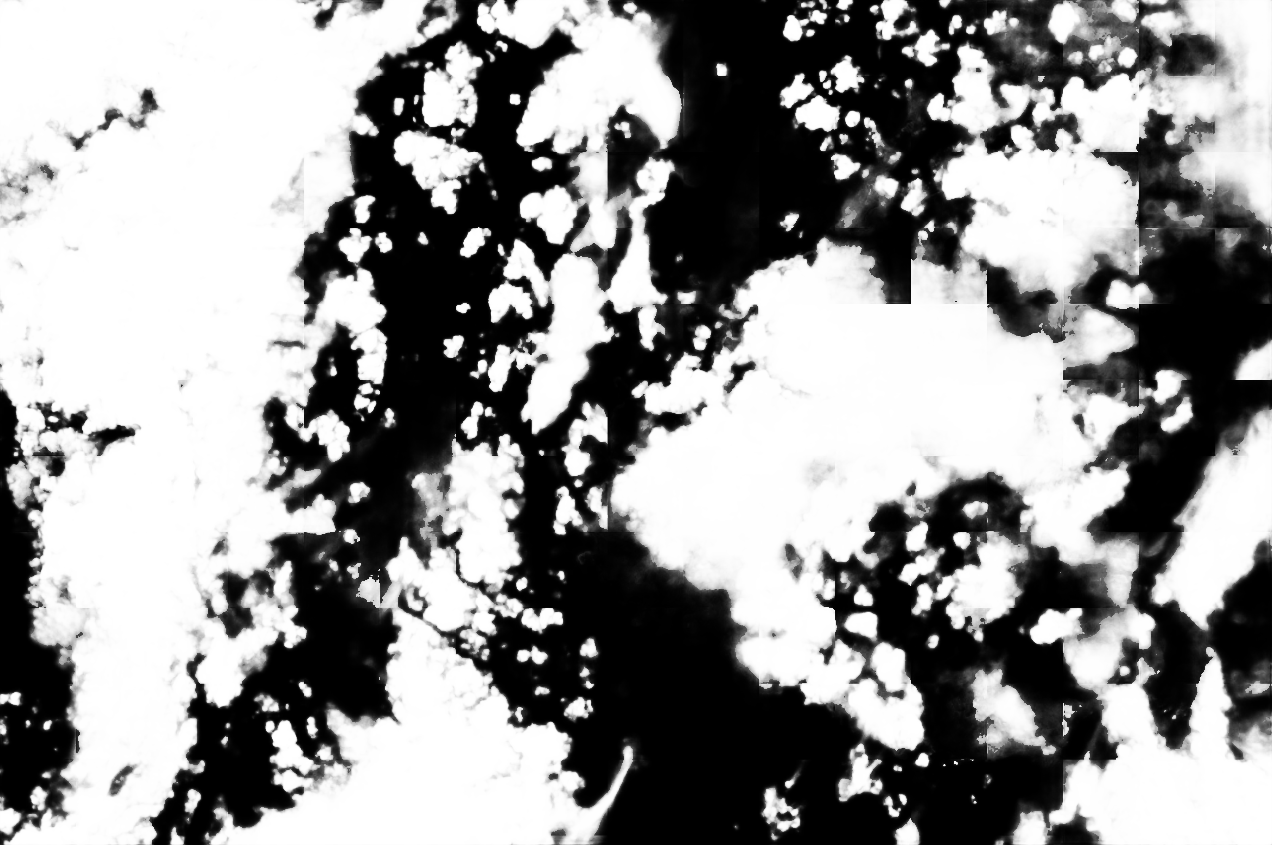 cloud mask image display 