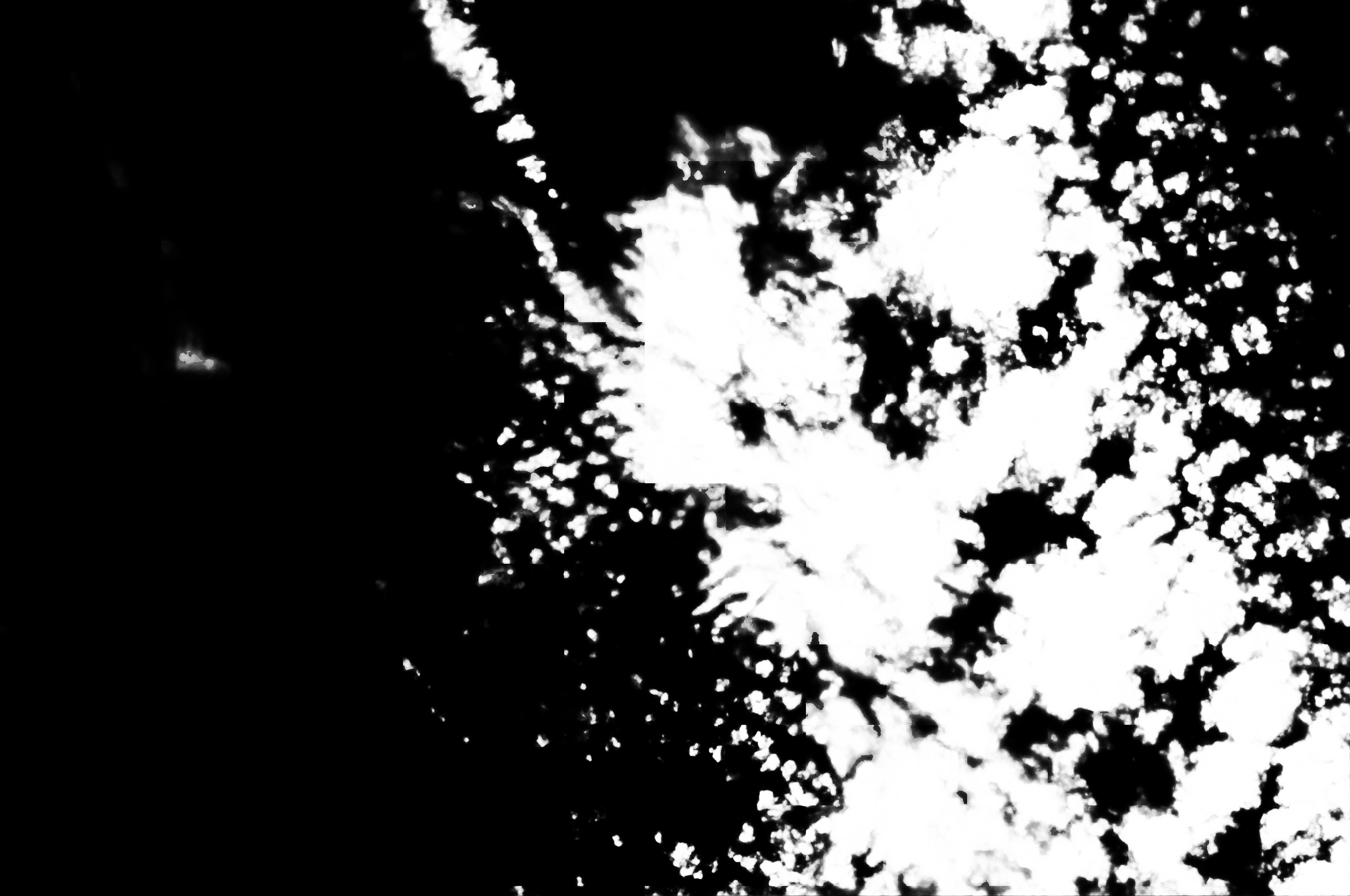 cloud mask image display 