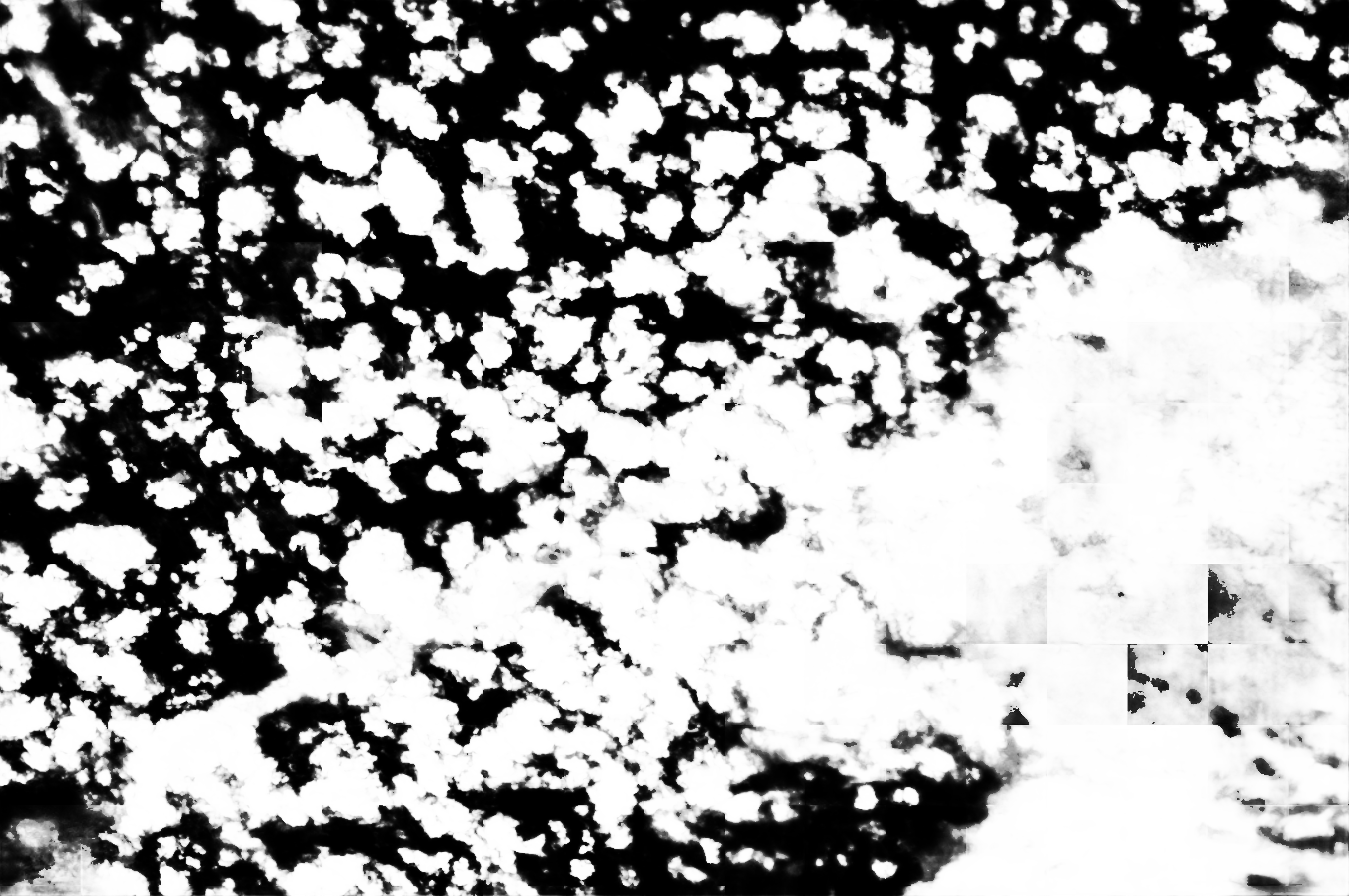 cloud mask image display 