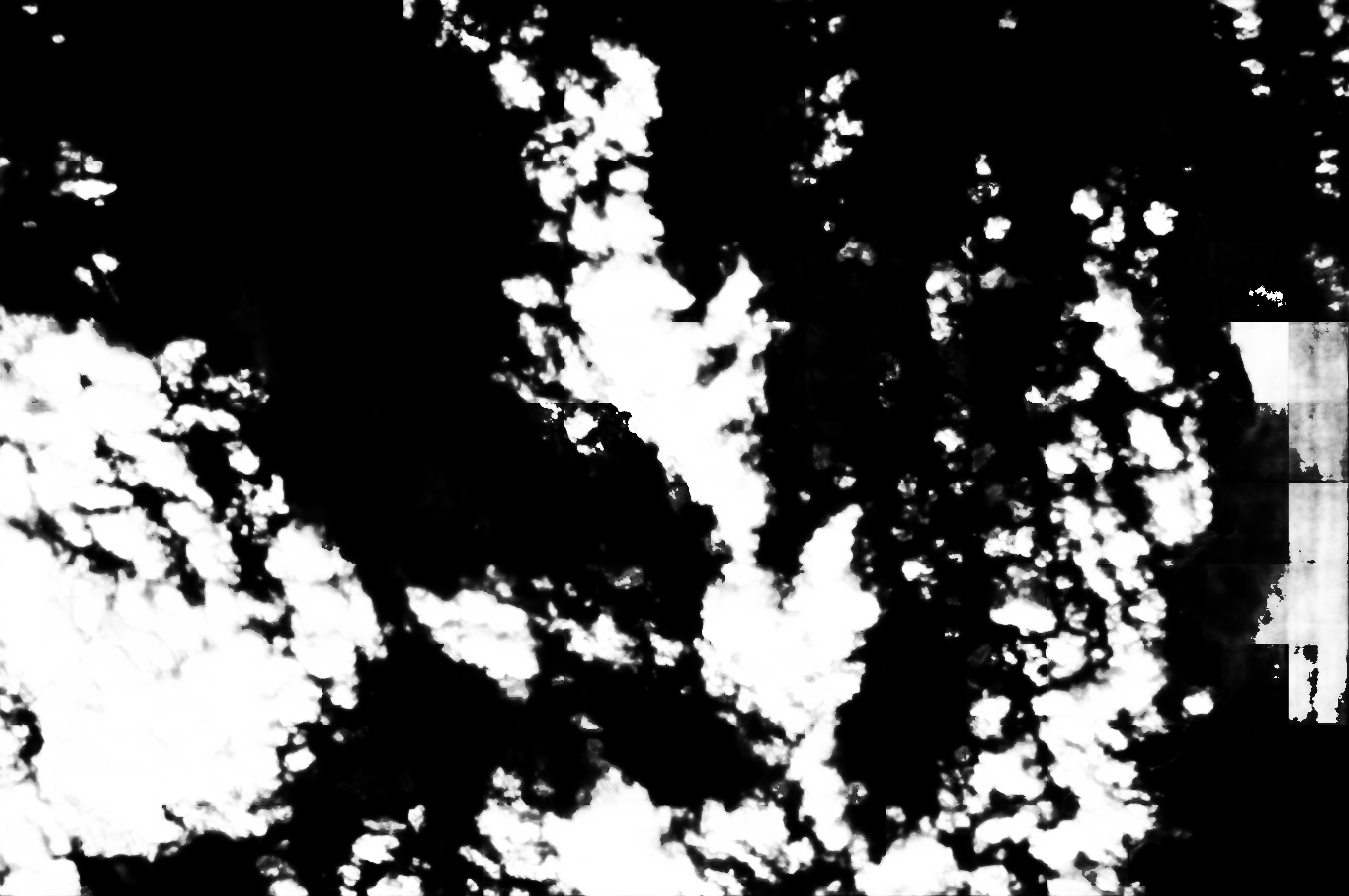 cloud mask image display 