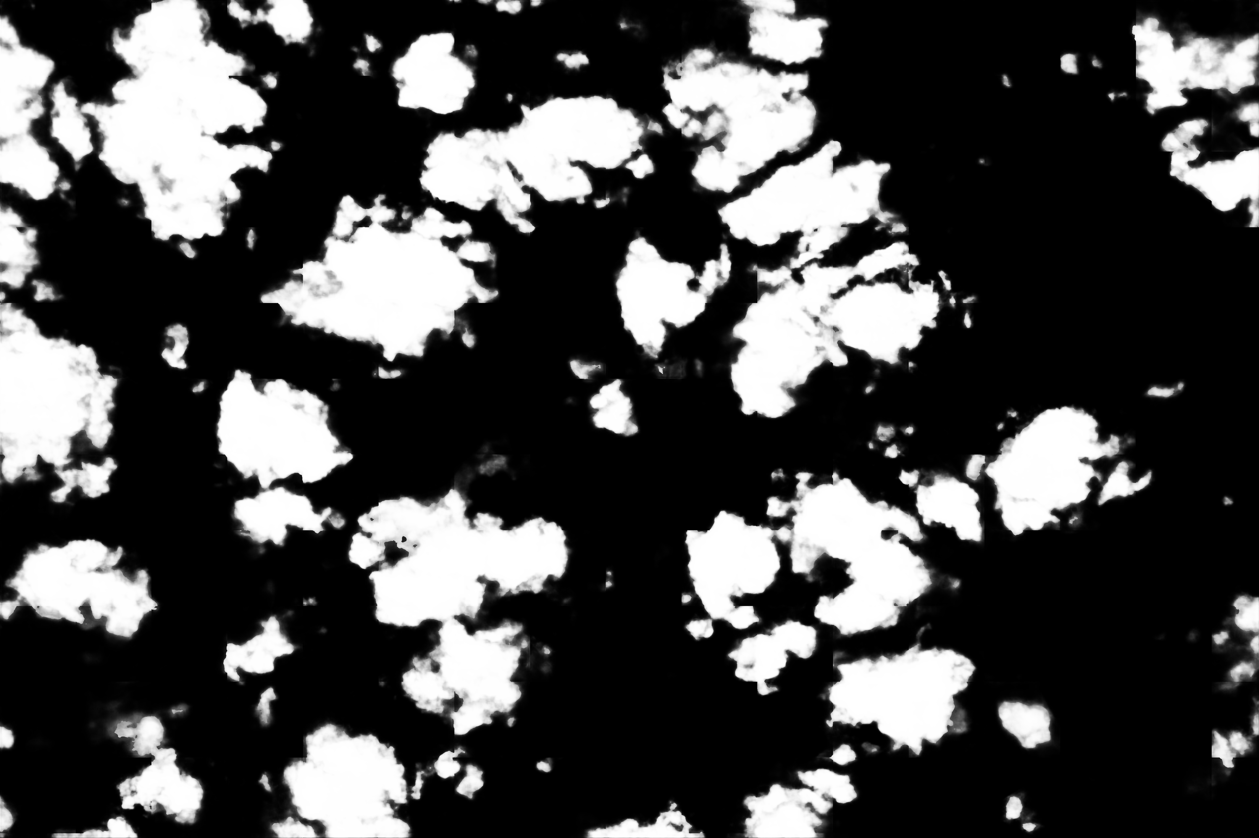 cloud mask image display 