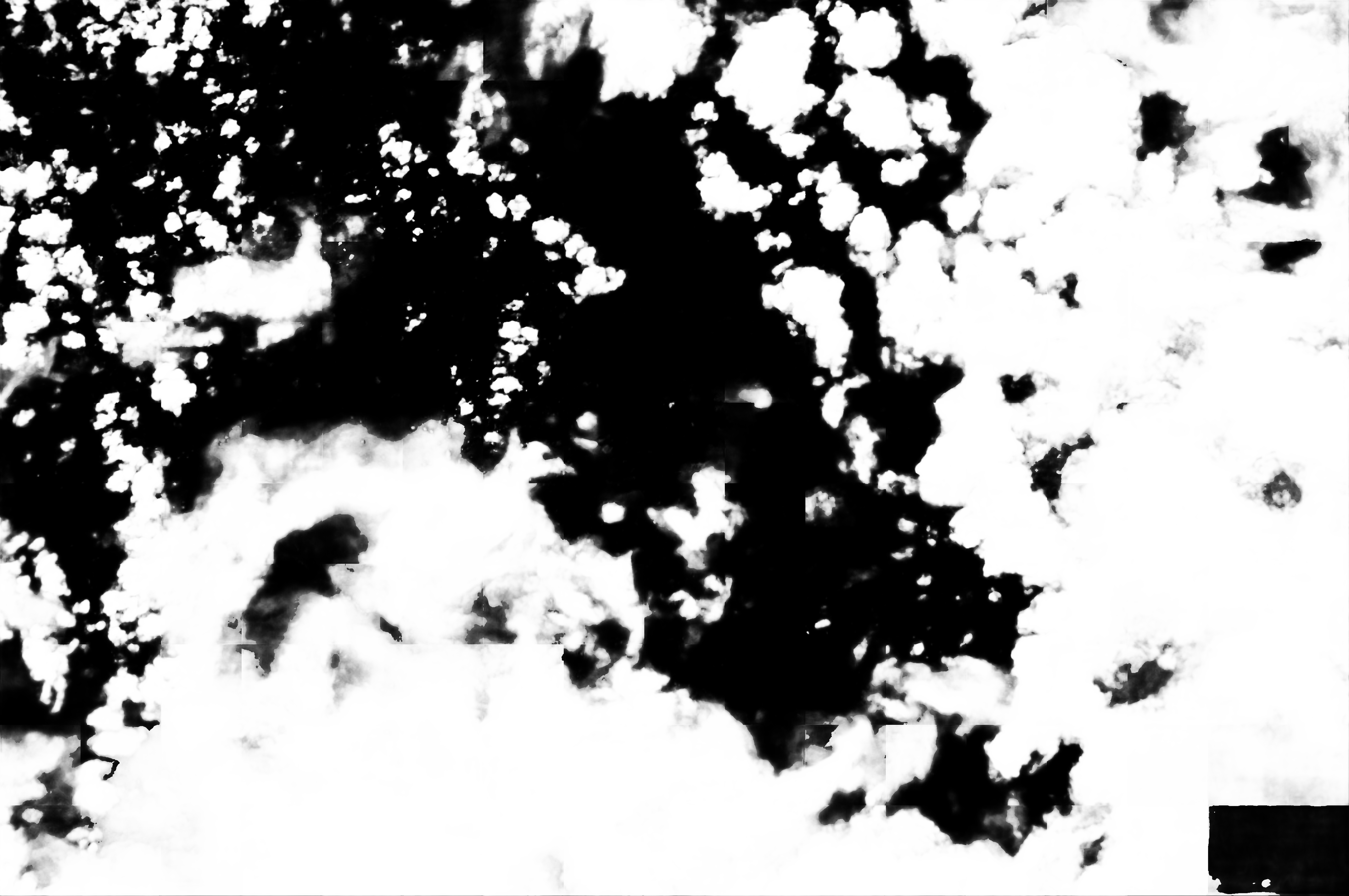 cloud mask image display 