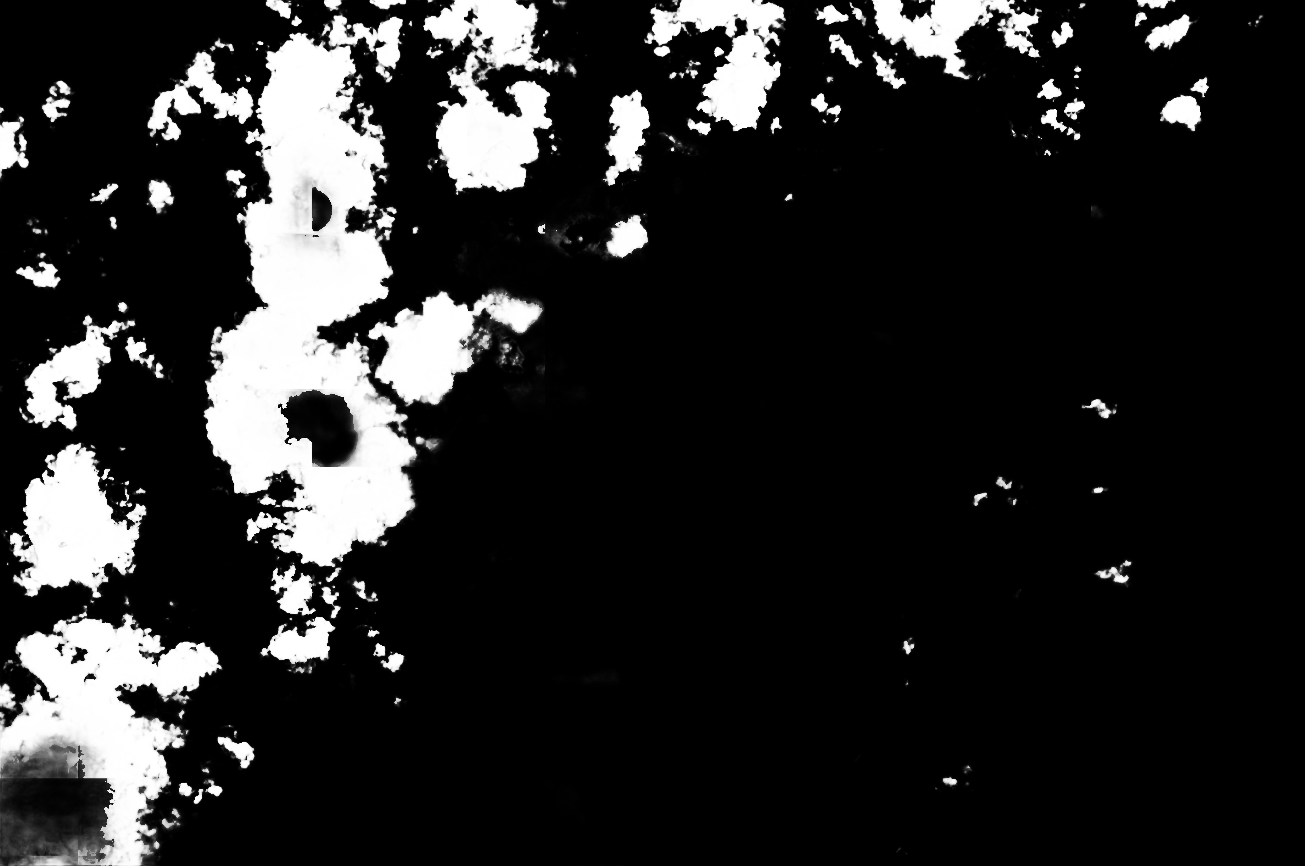 cloud mask image display 