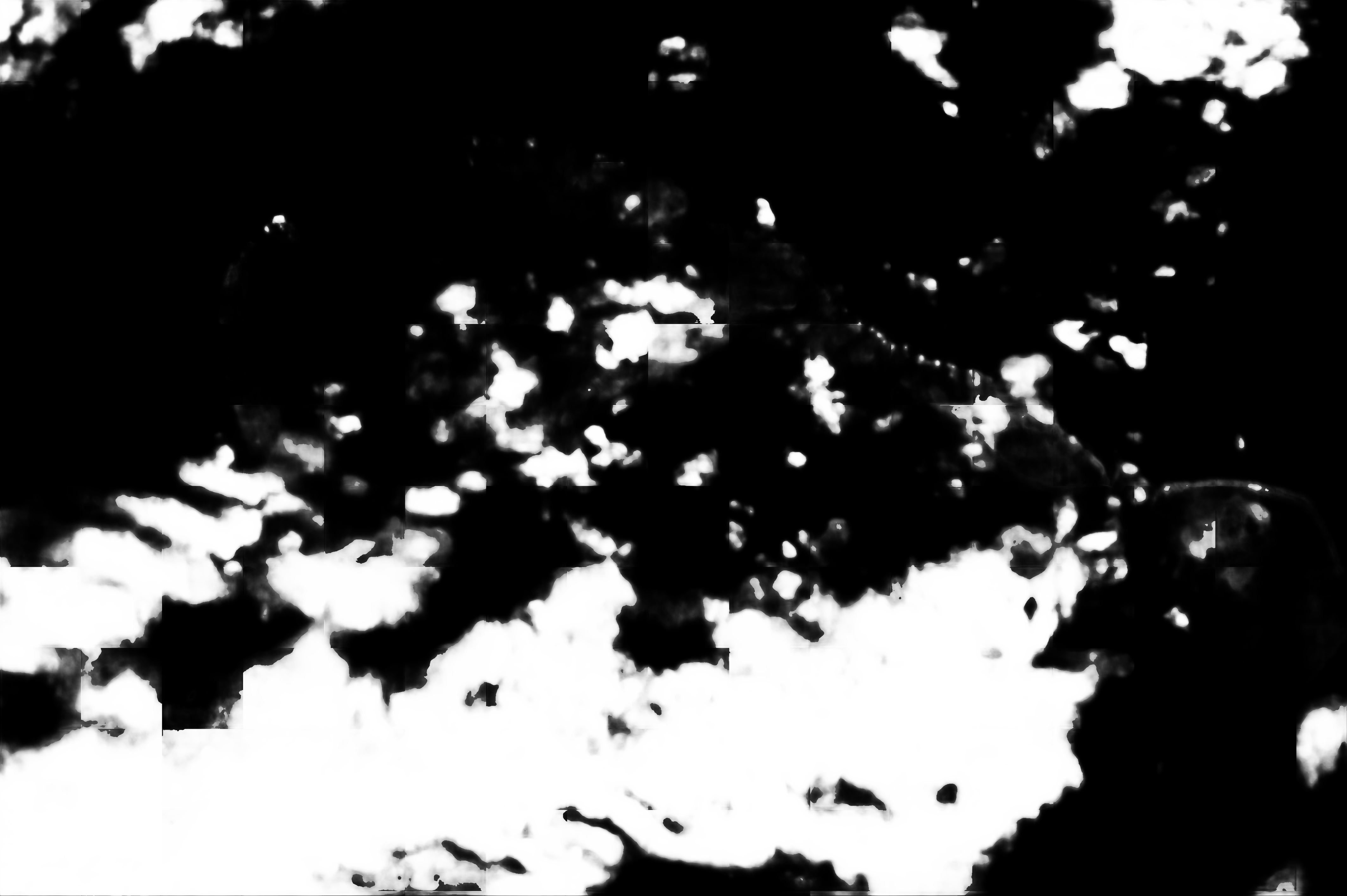 cloud mask image display 