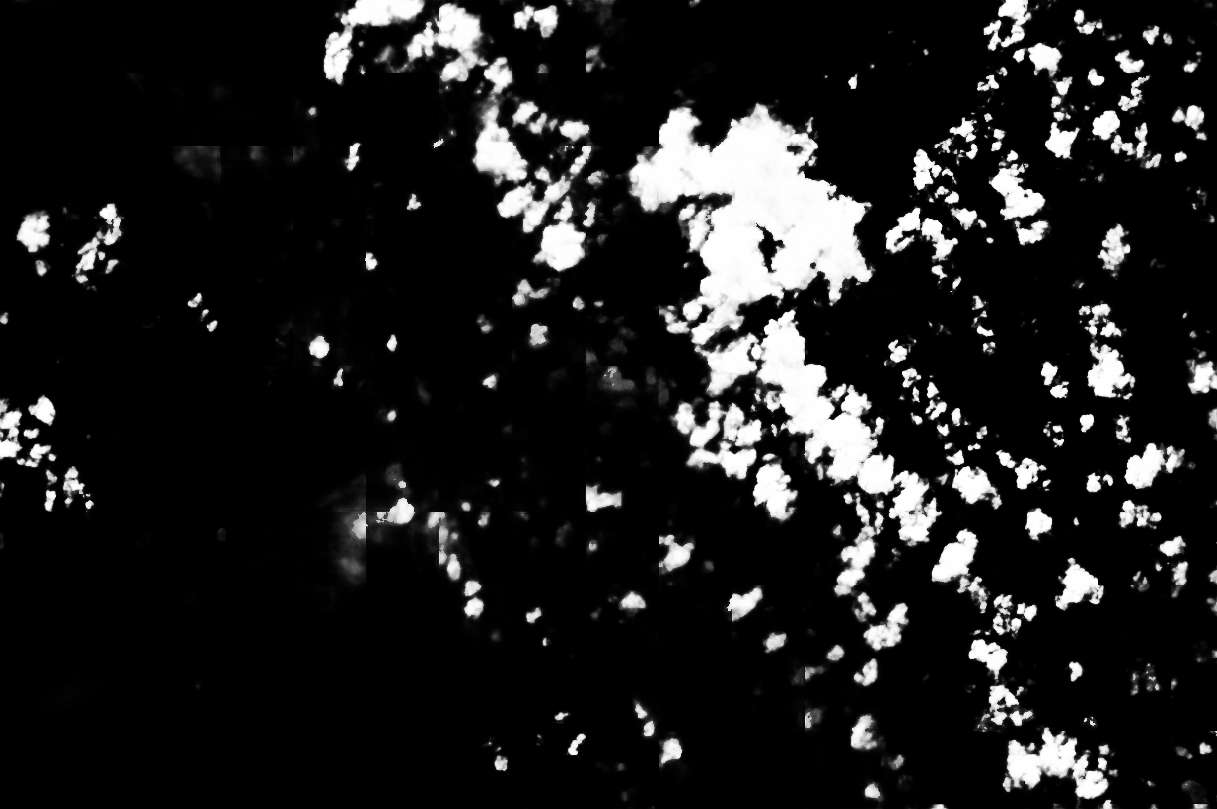 cloud mask image display 