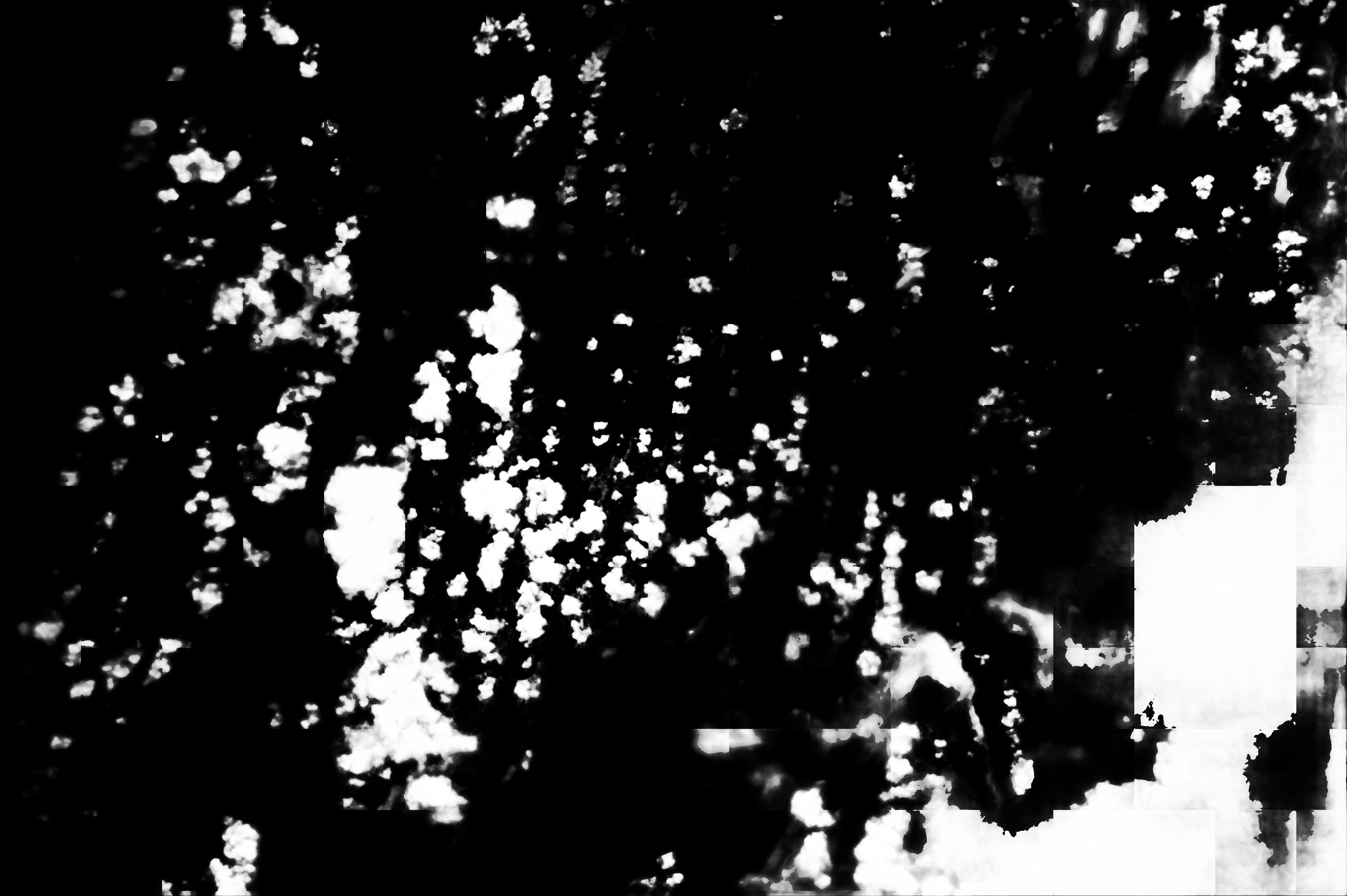 cloud mask image display 