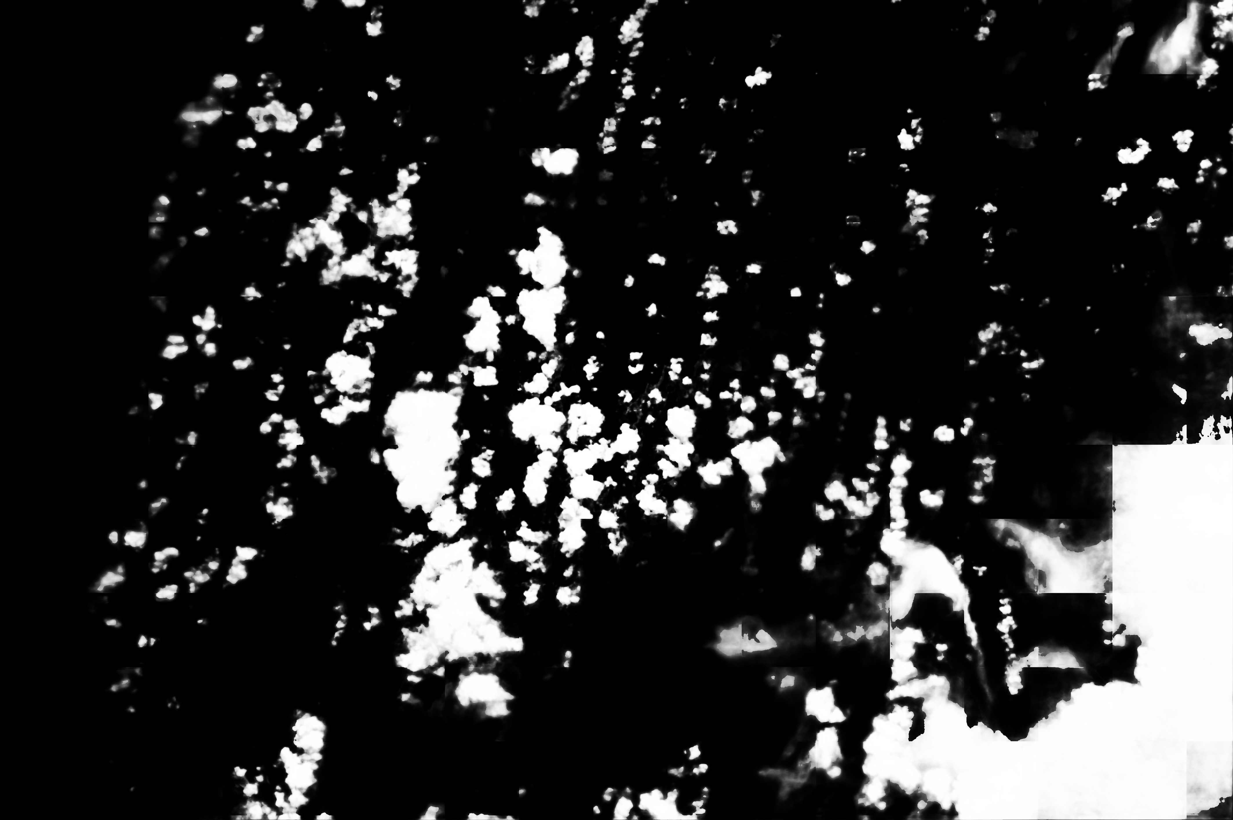 cloud mask image display 