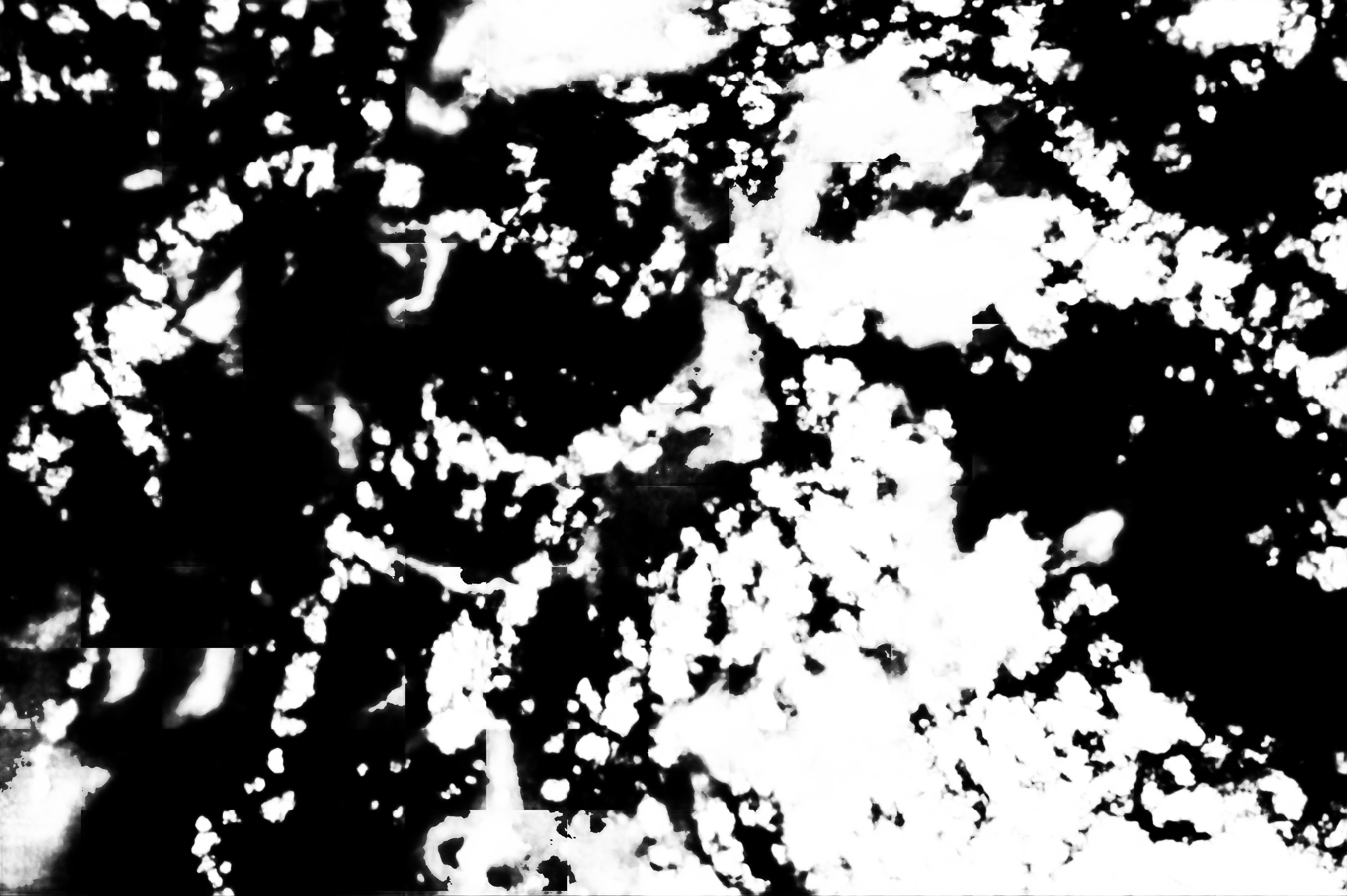 cloud mask image display 