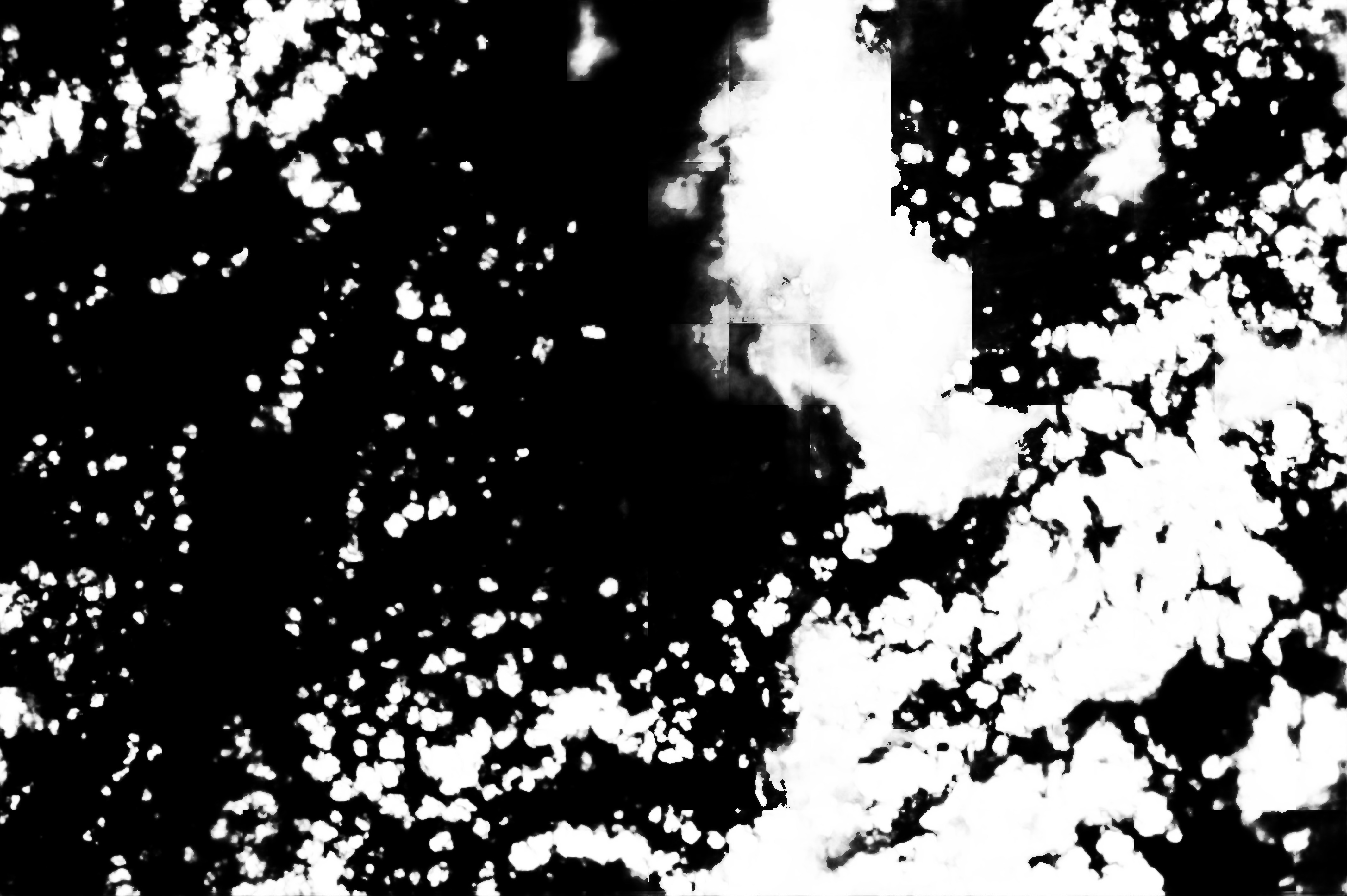 cloud mask image display 