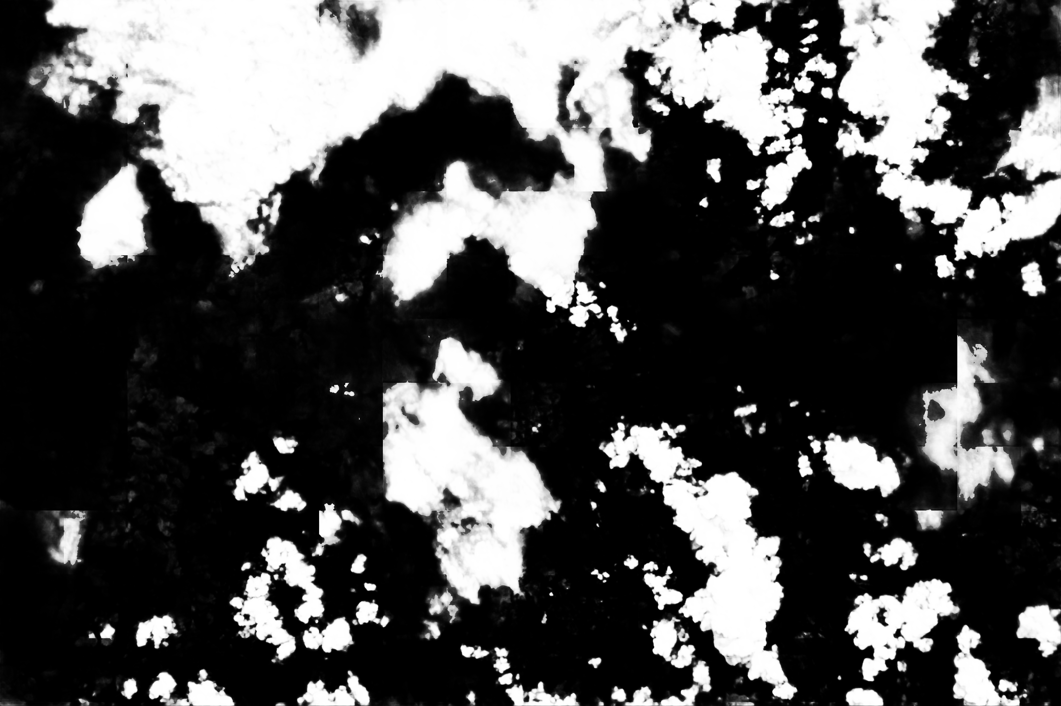 cloud mask image display 