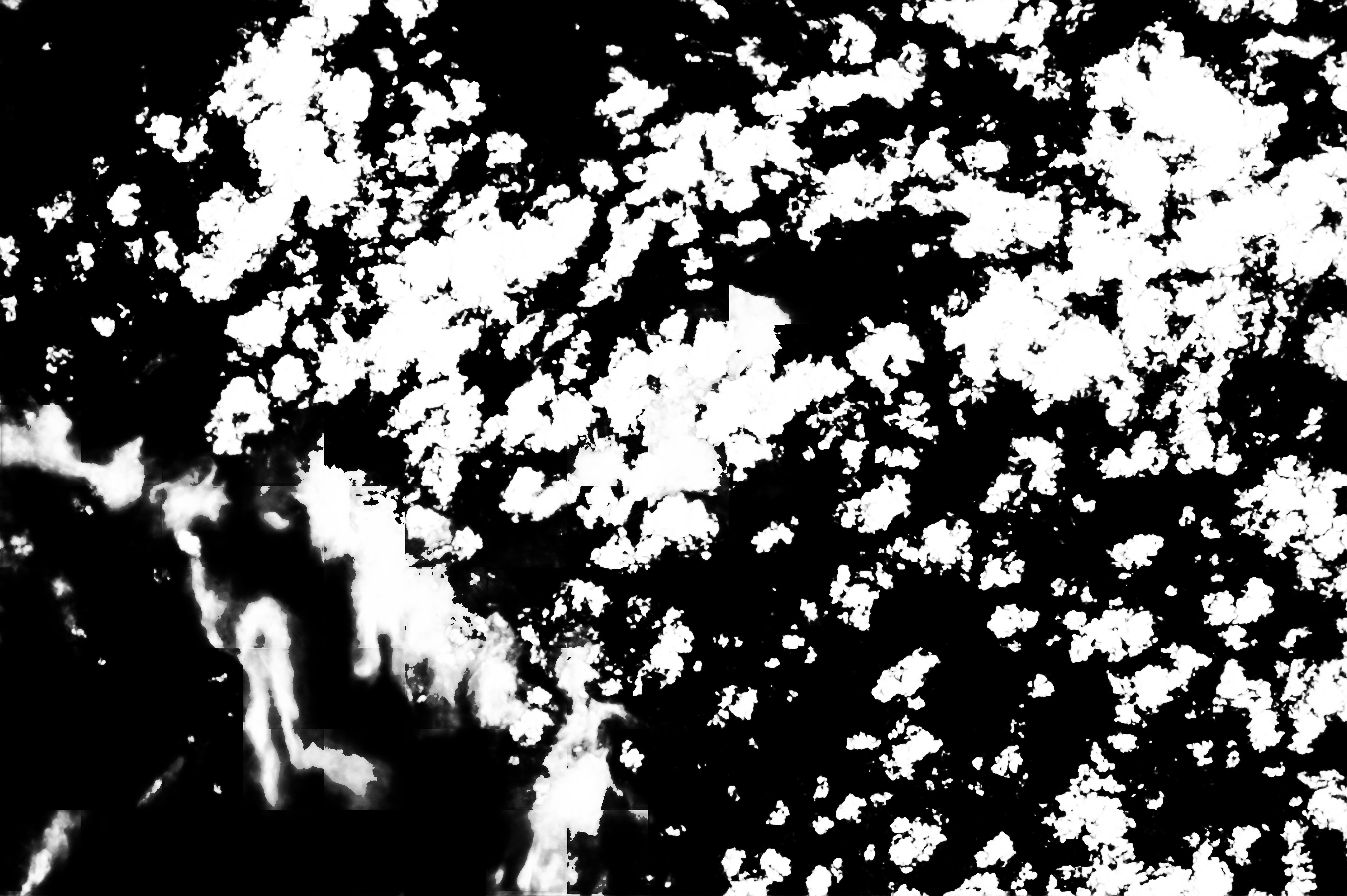 cloud mask image display 