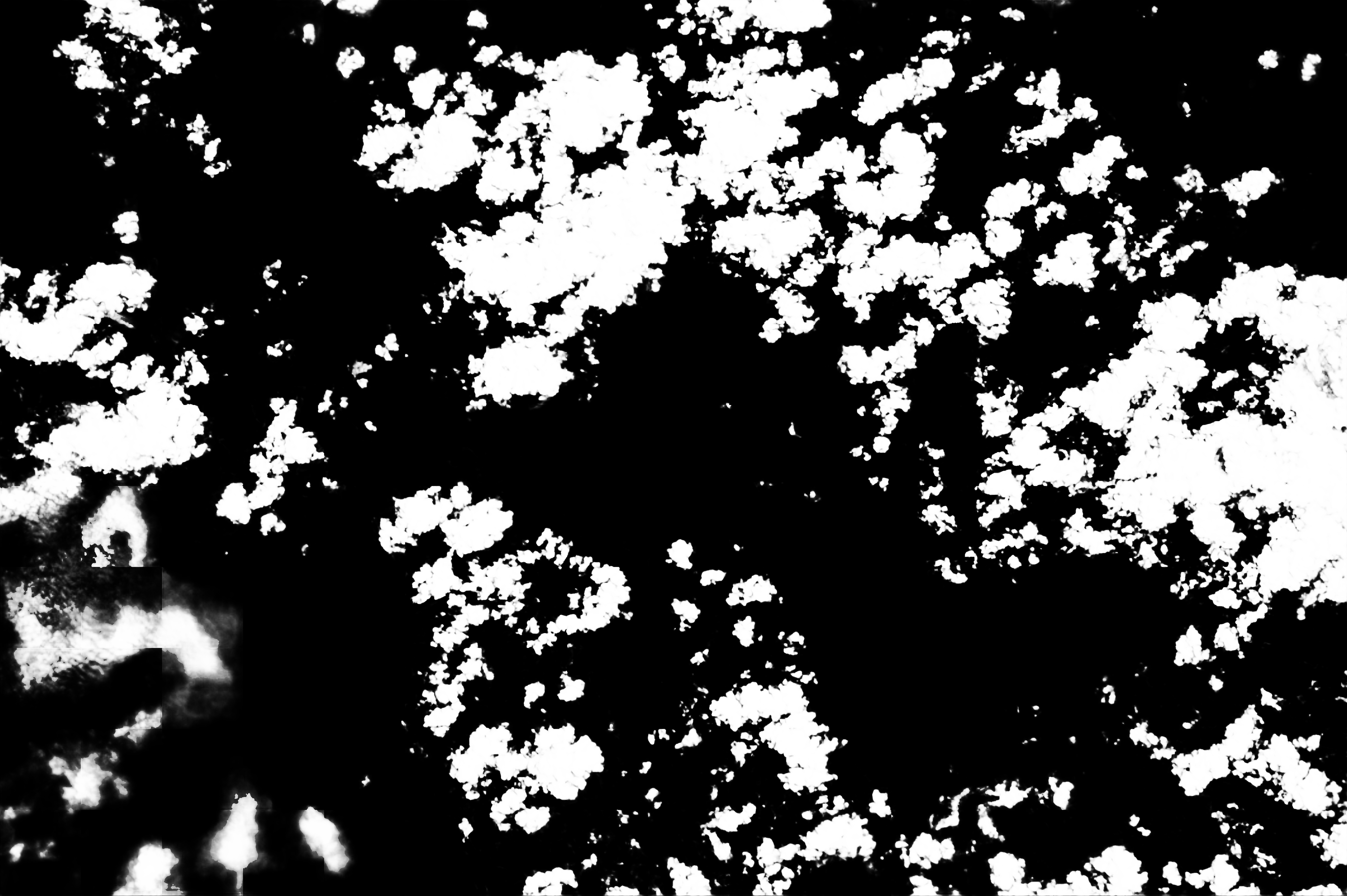 cloud mask image display 