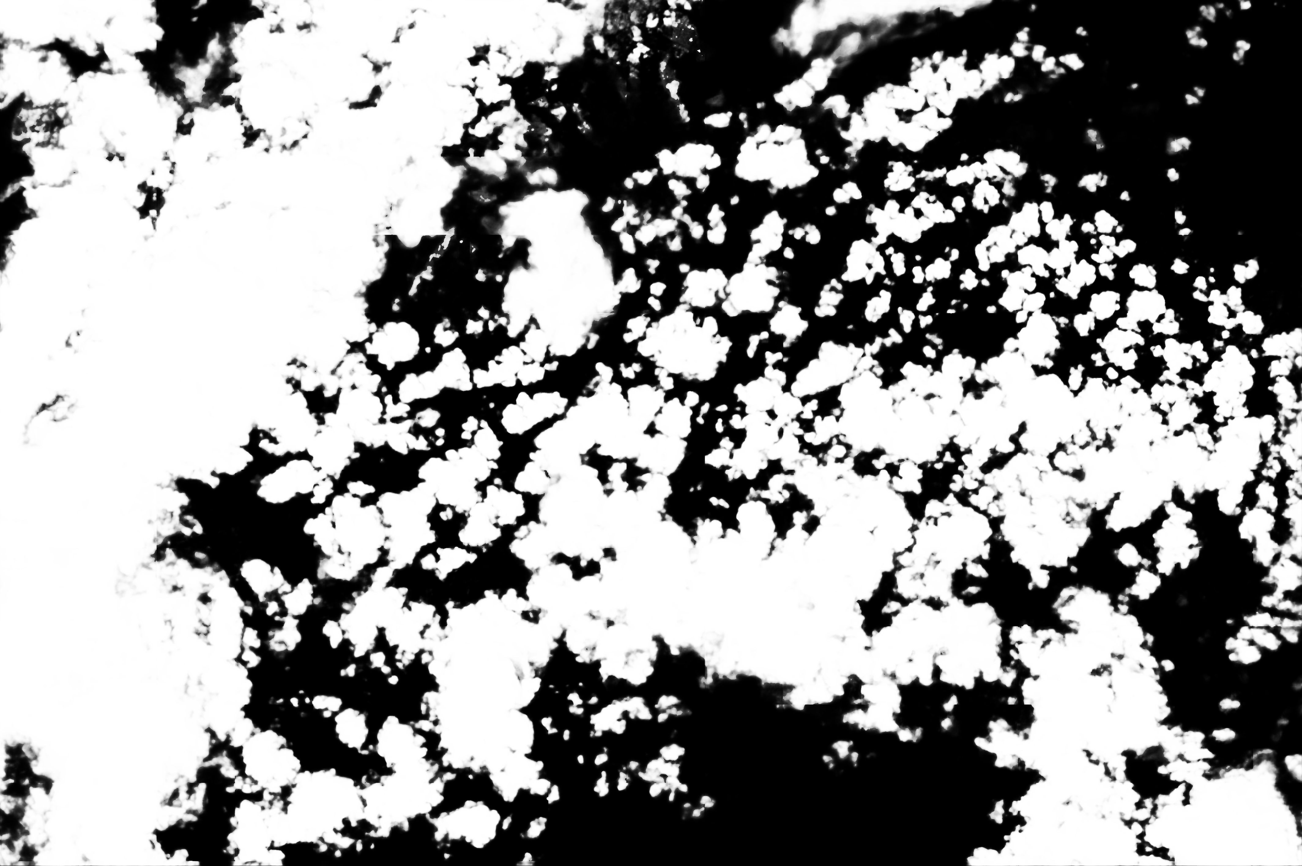 cloud mask image display 