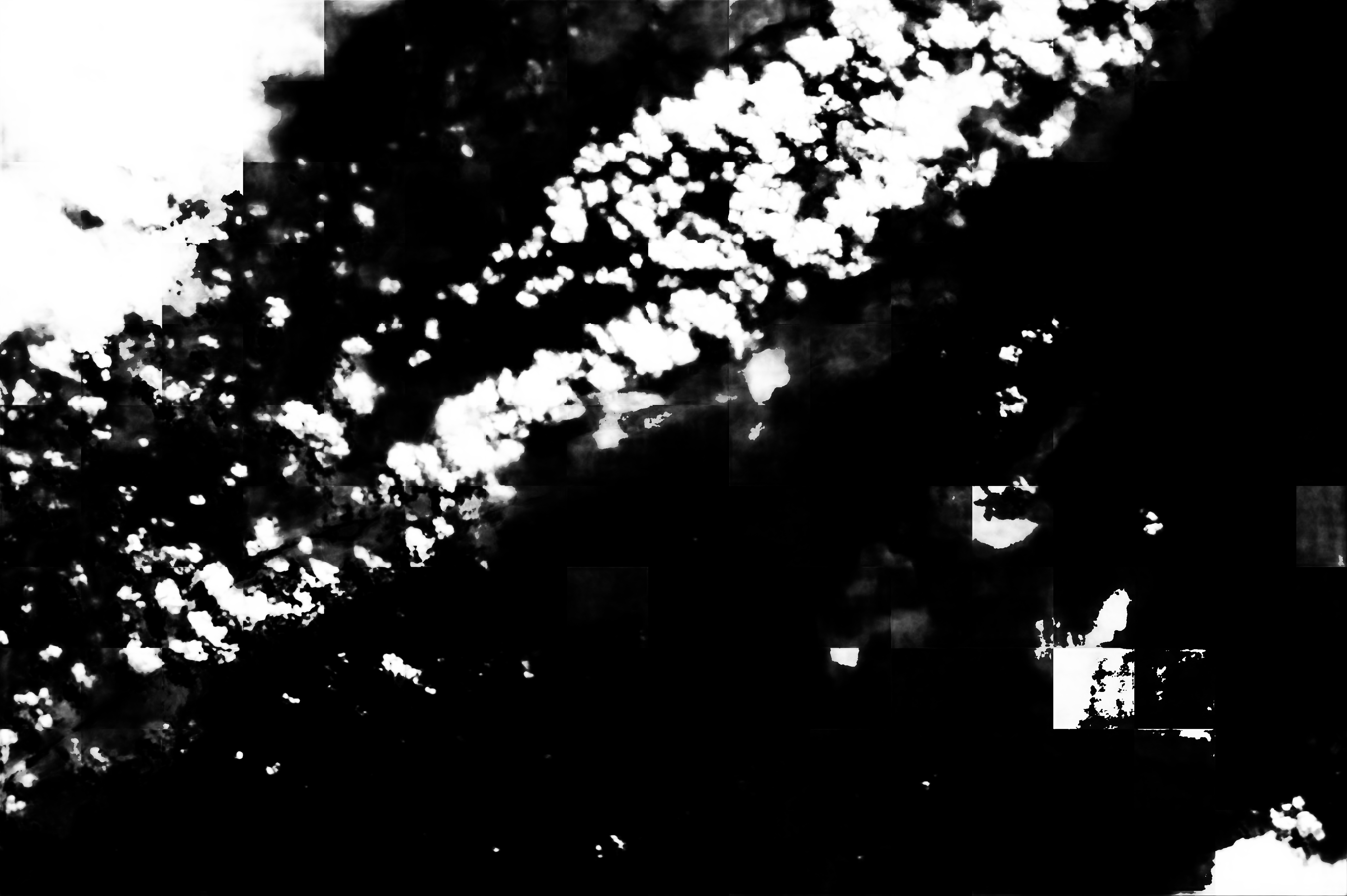 cloud mask image display 