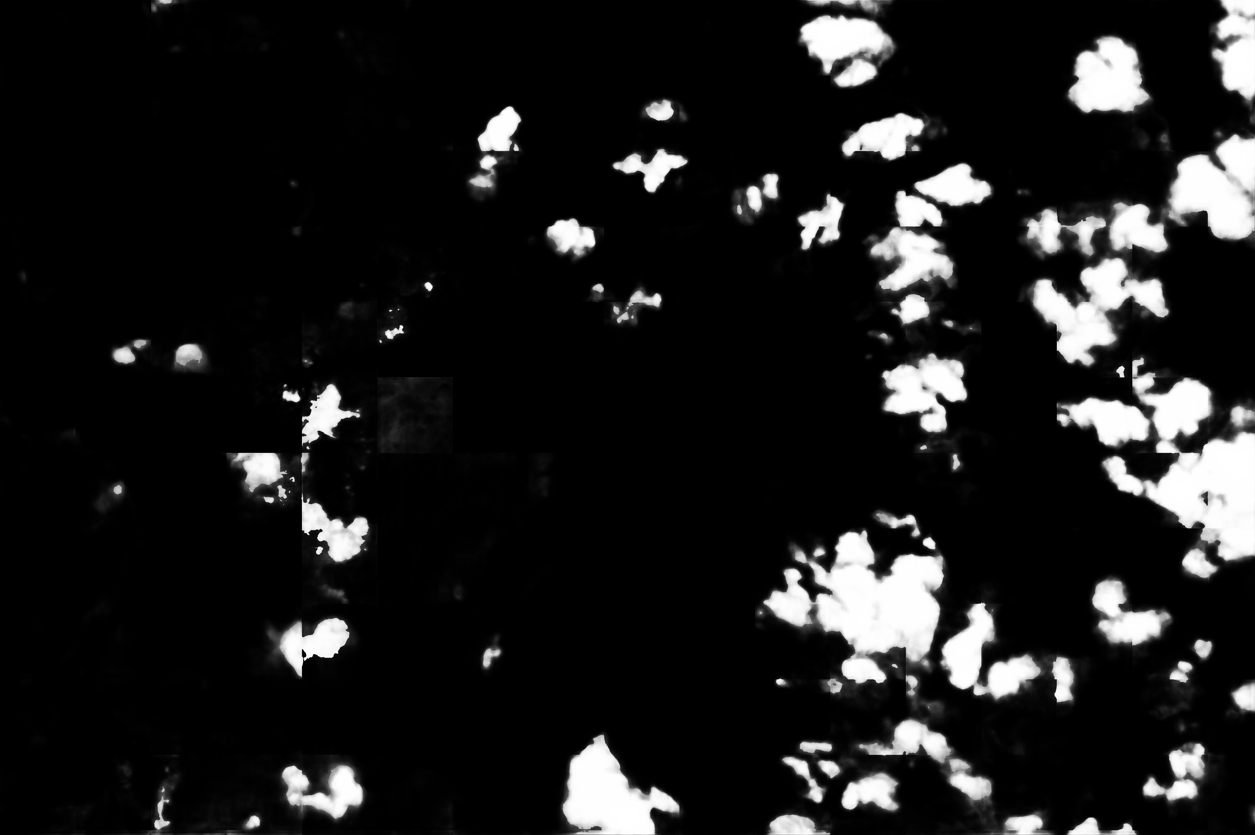 cloud mask image display 