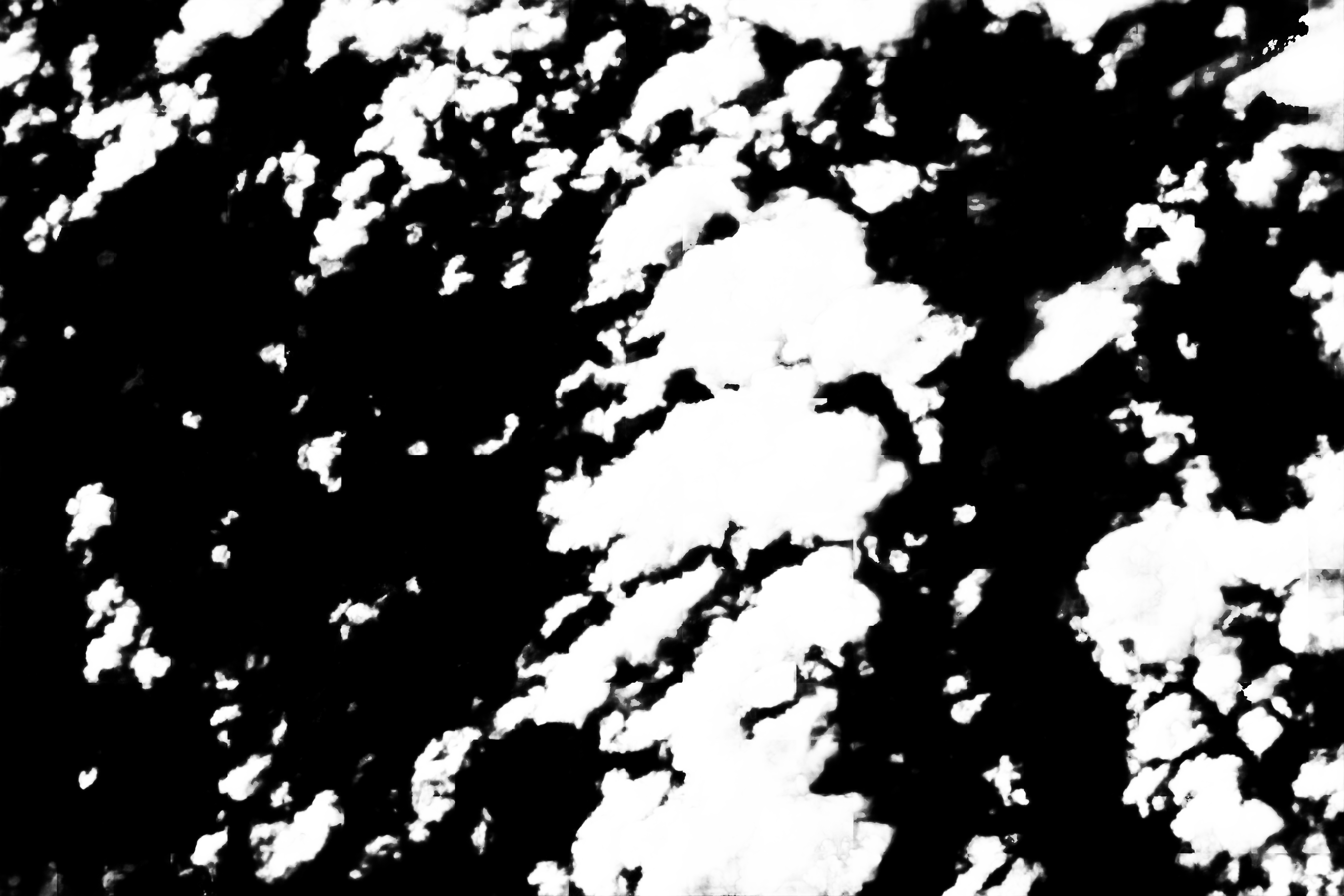 cloud mask image display 