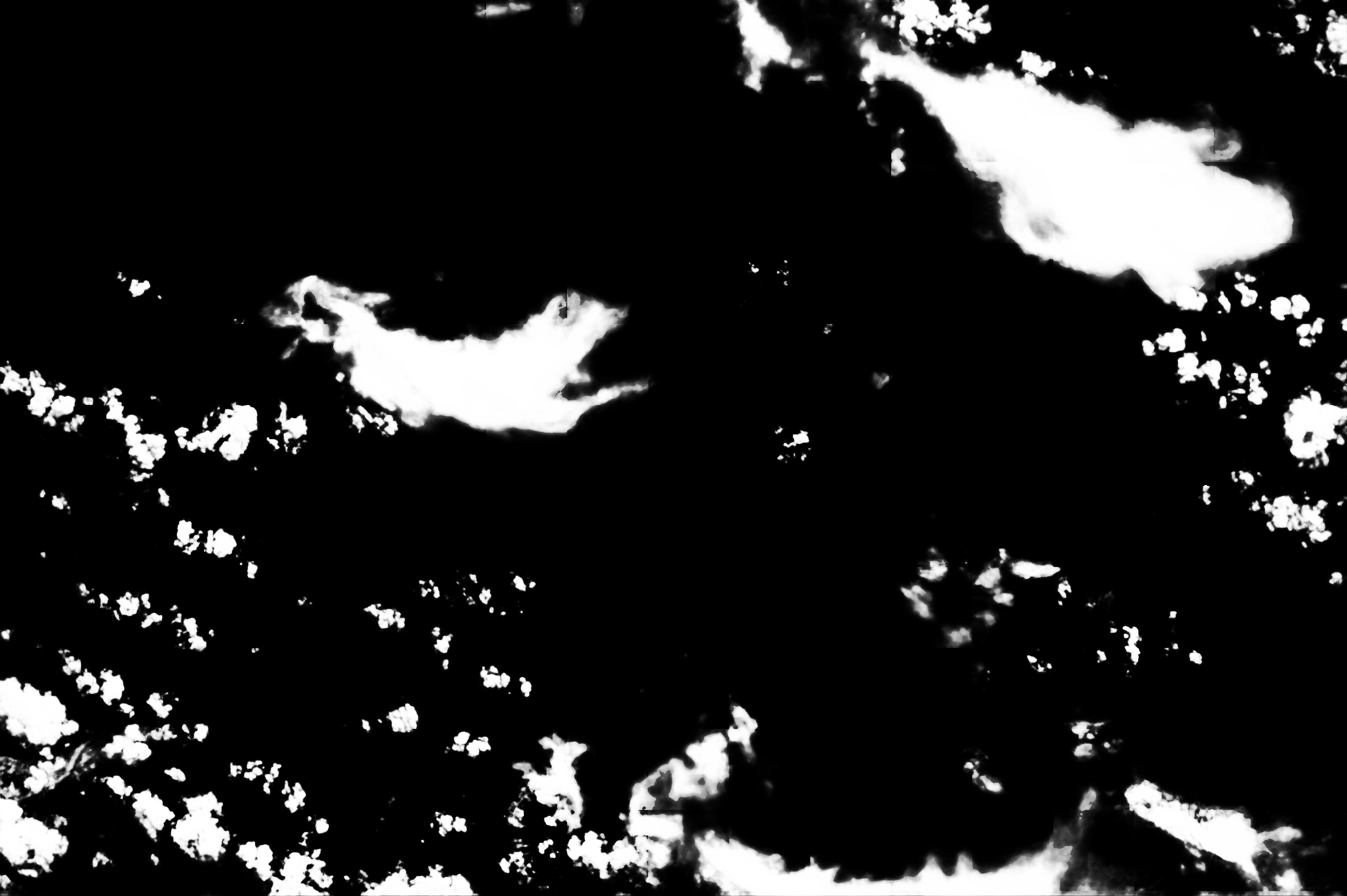 cloud mask image display 