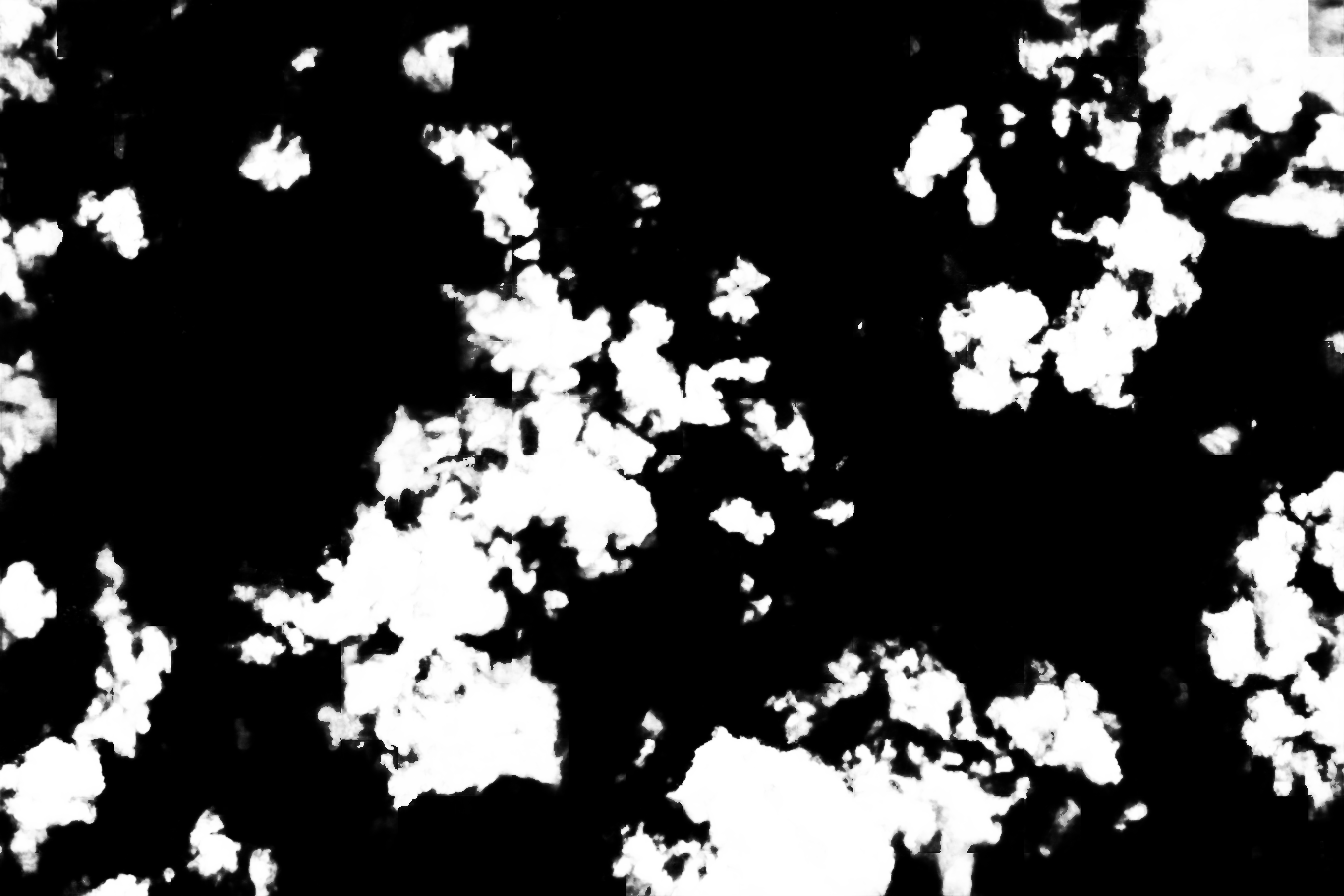 cloud mask image display 