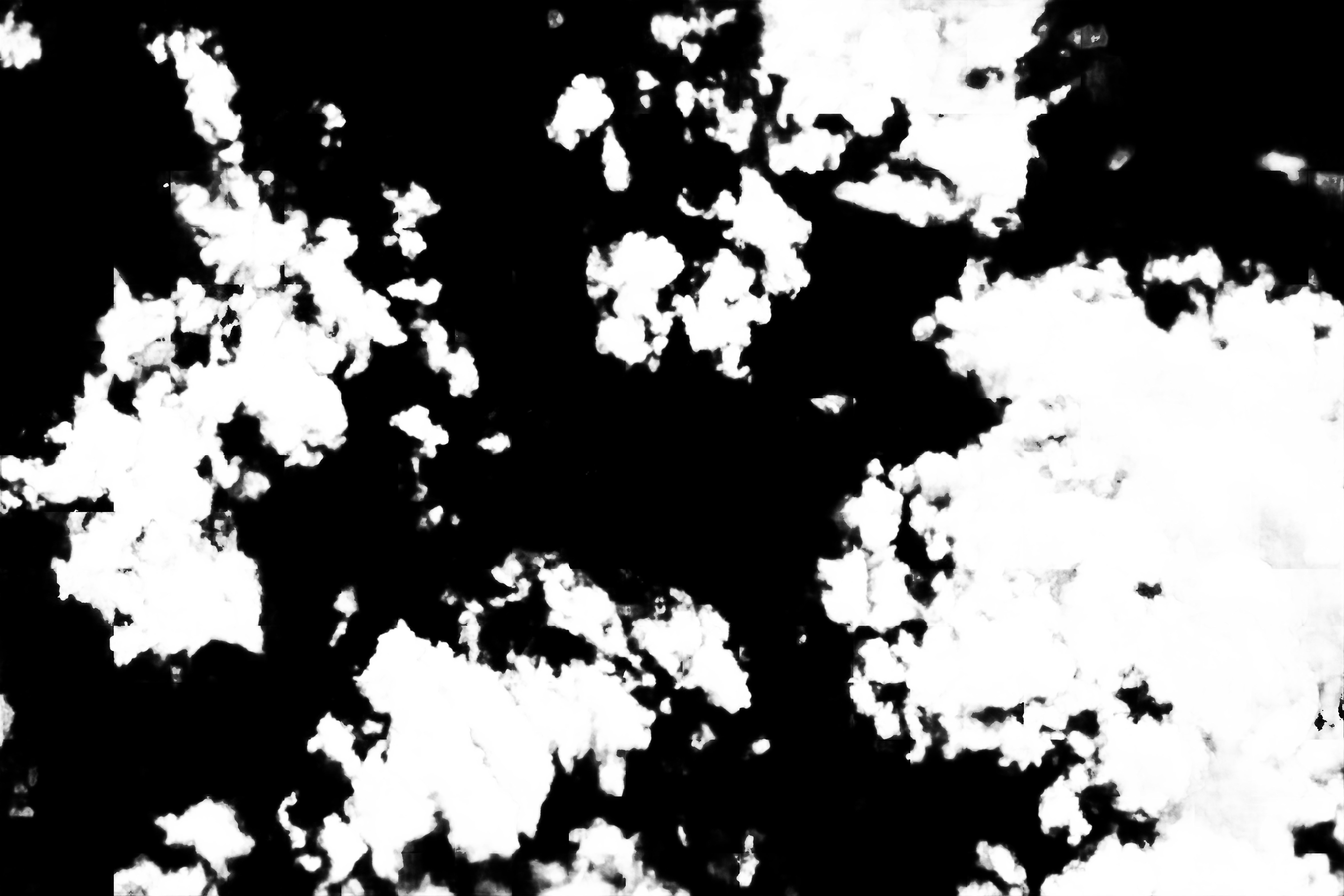 cloud mask image display 