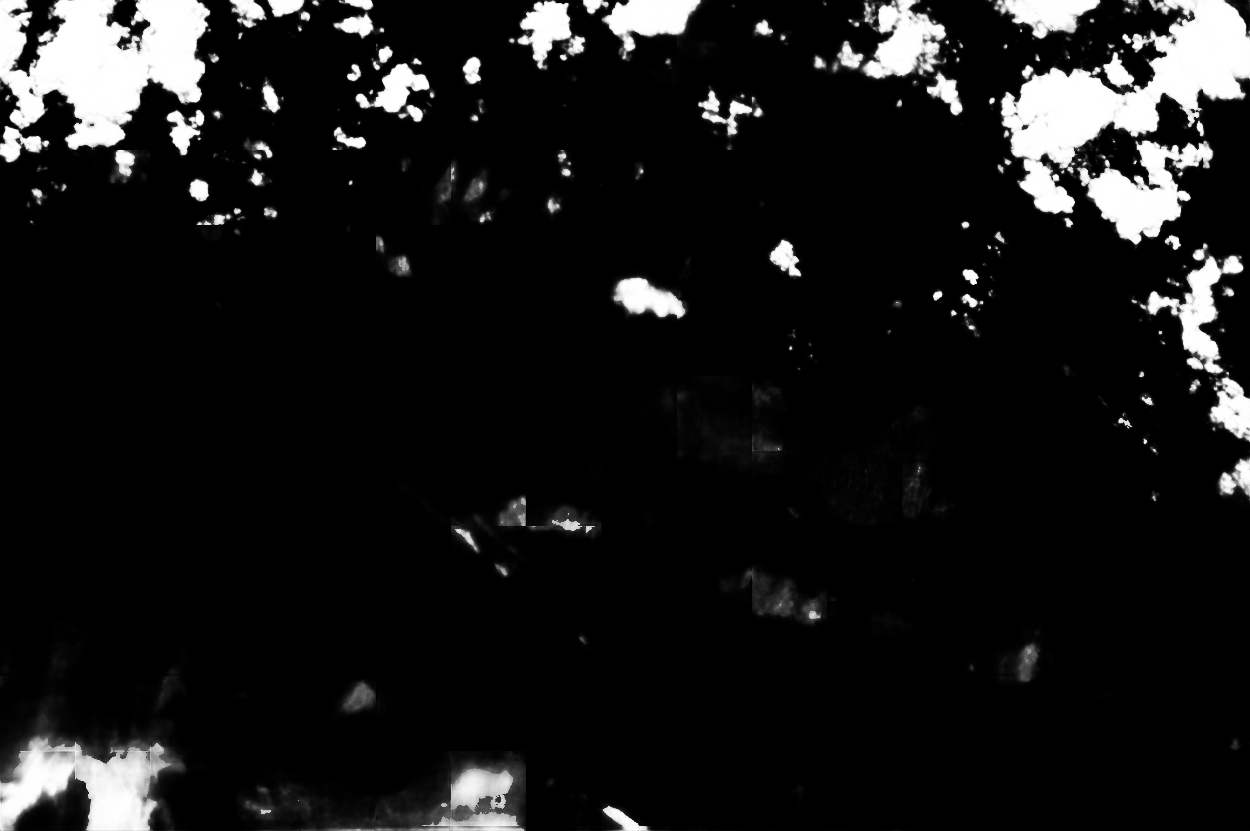 cloud mask image display 