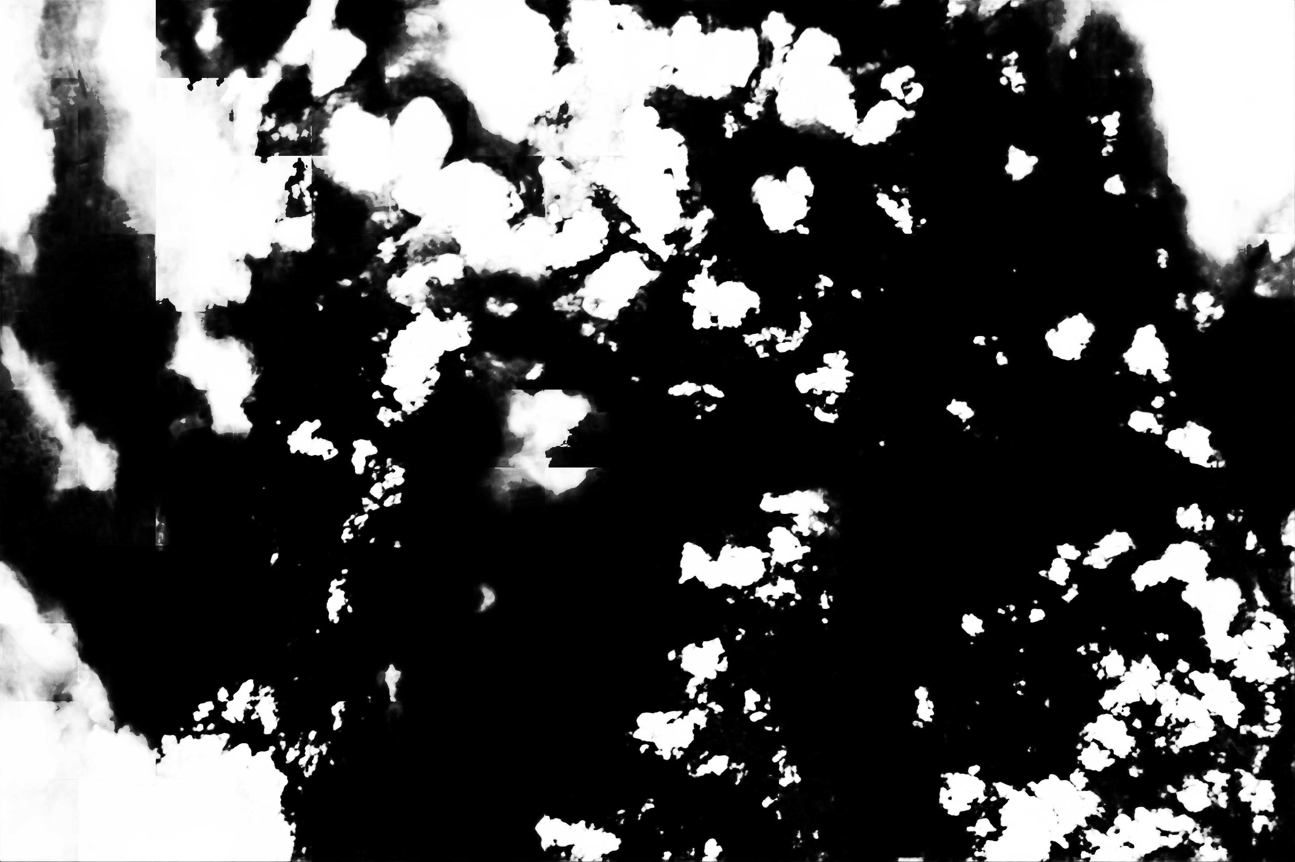 cloud mask image display 