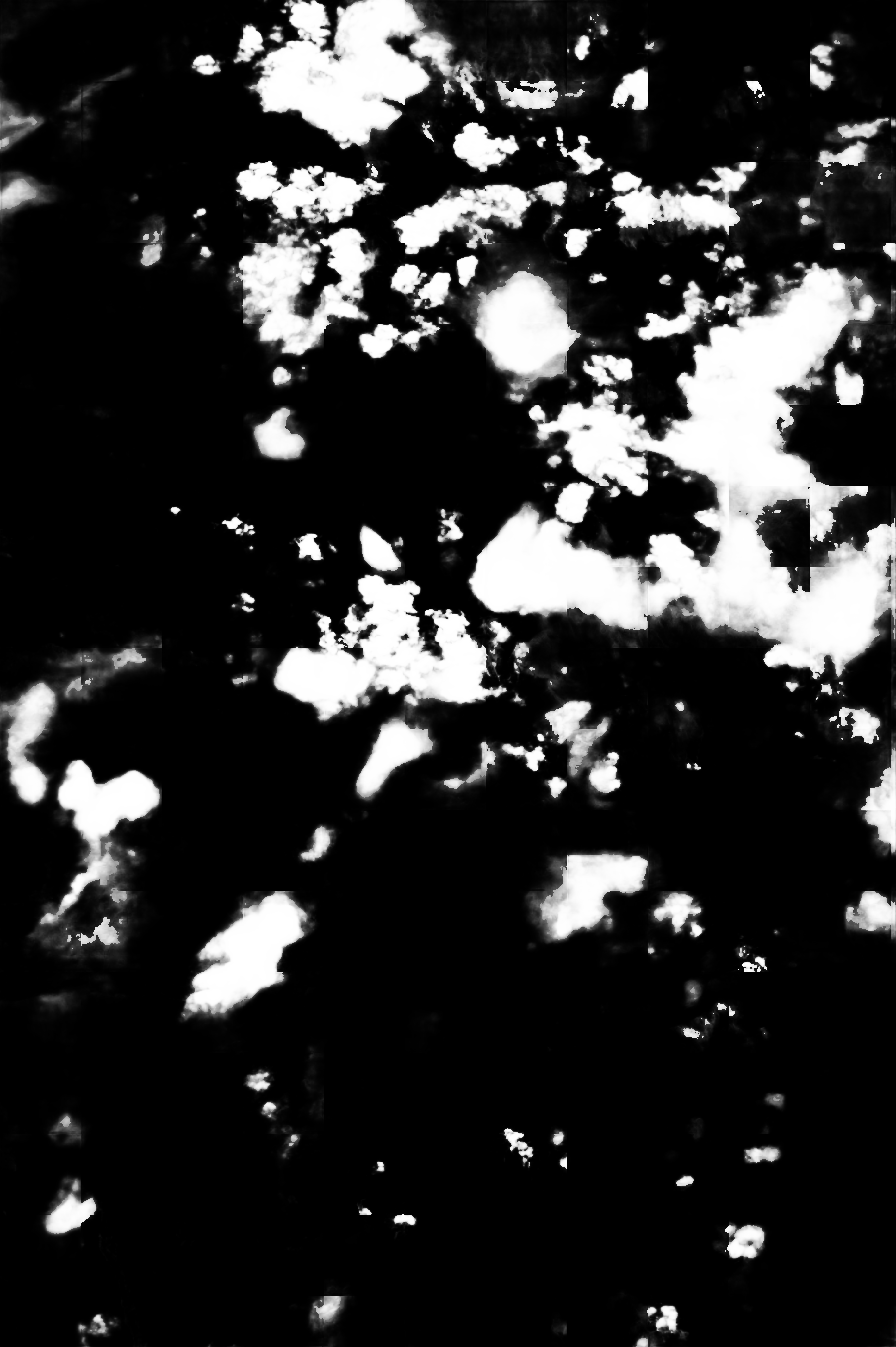 cloud mask image display 