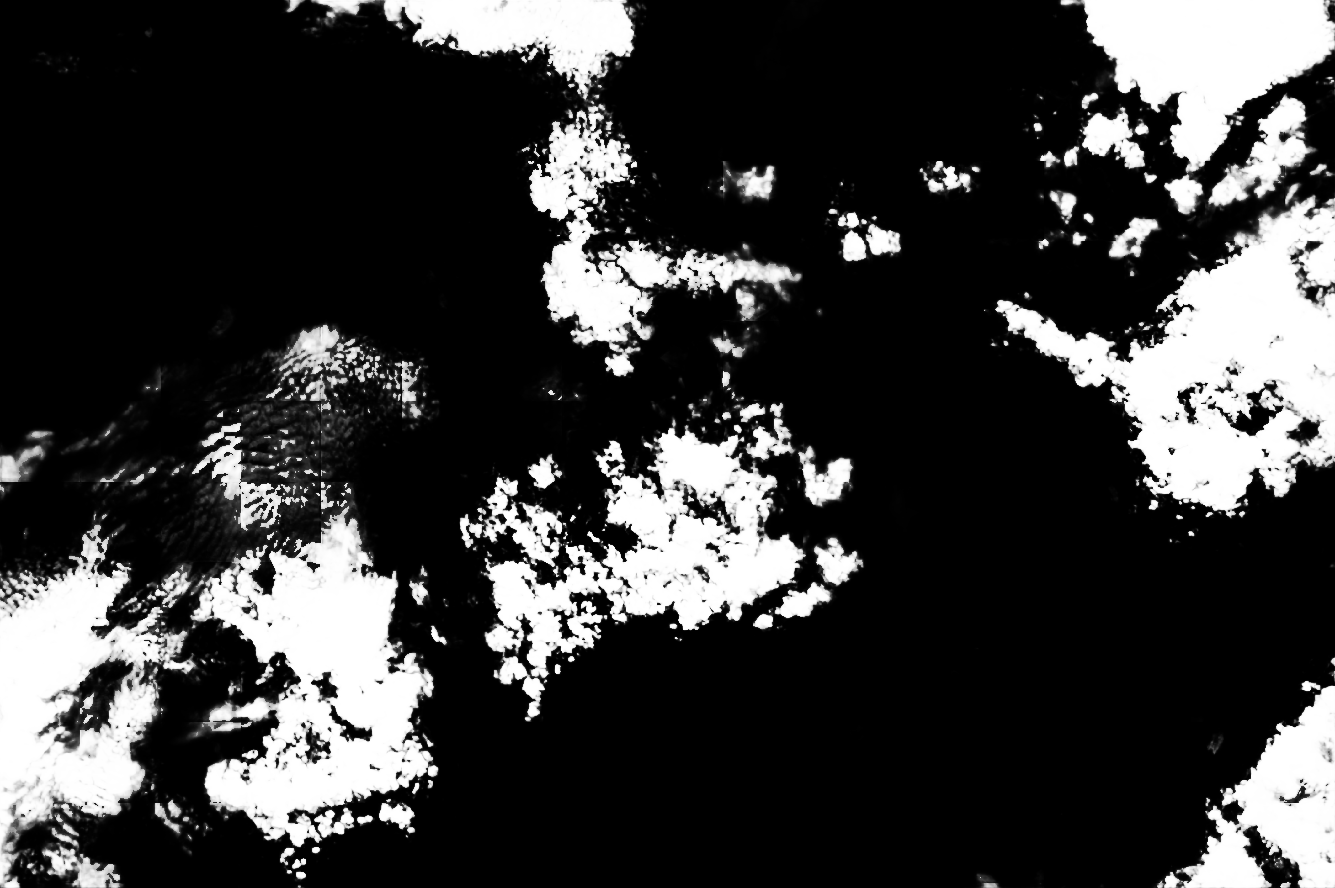 cloud mask image display 