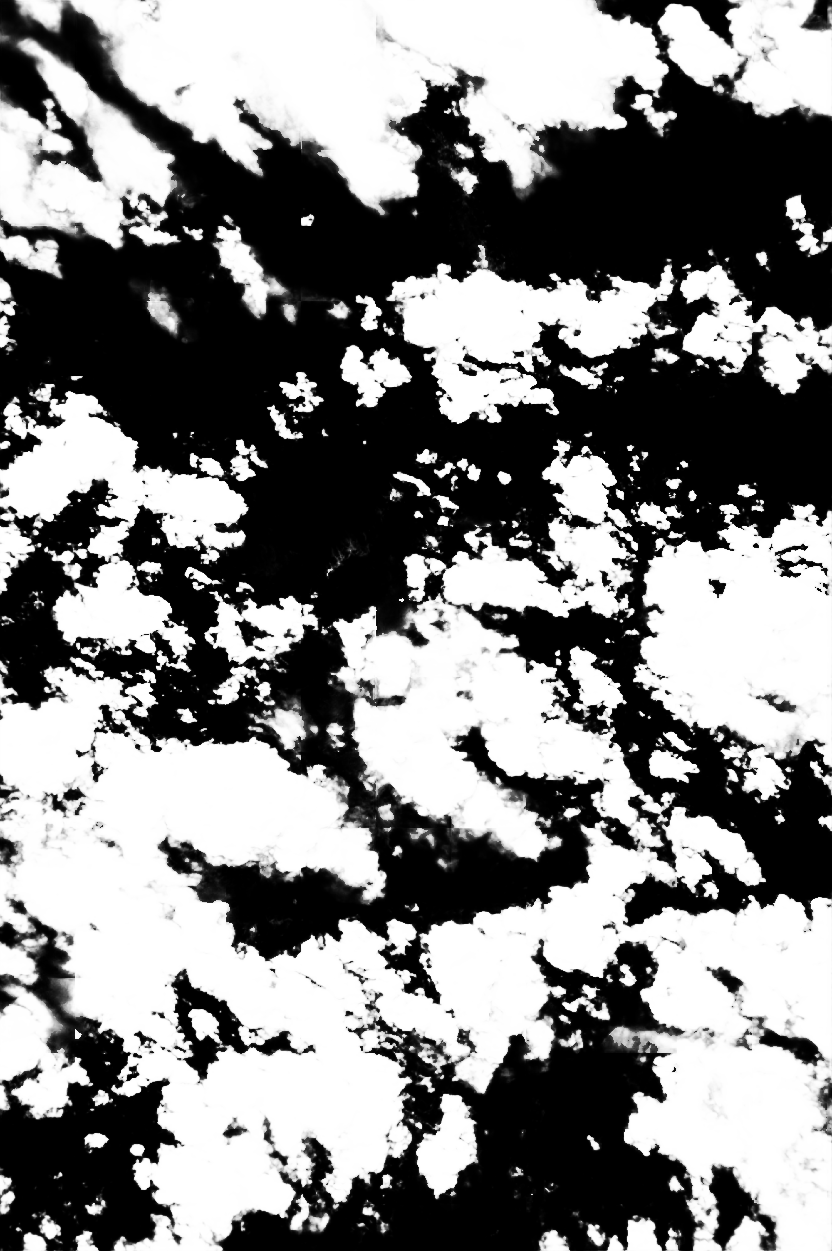 cloud mask image display 