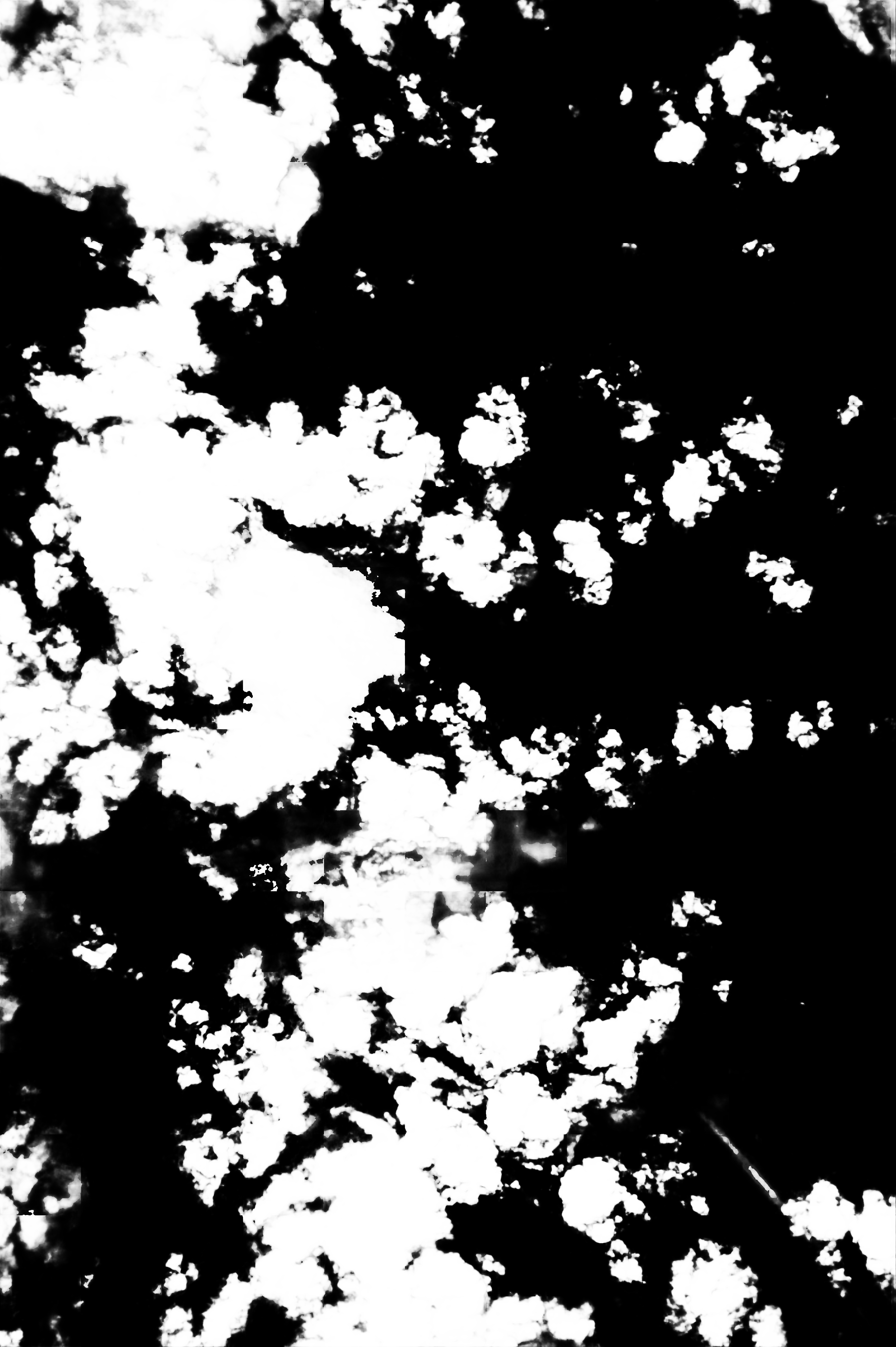 cloud mask image display 