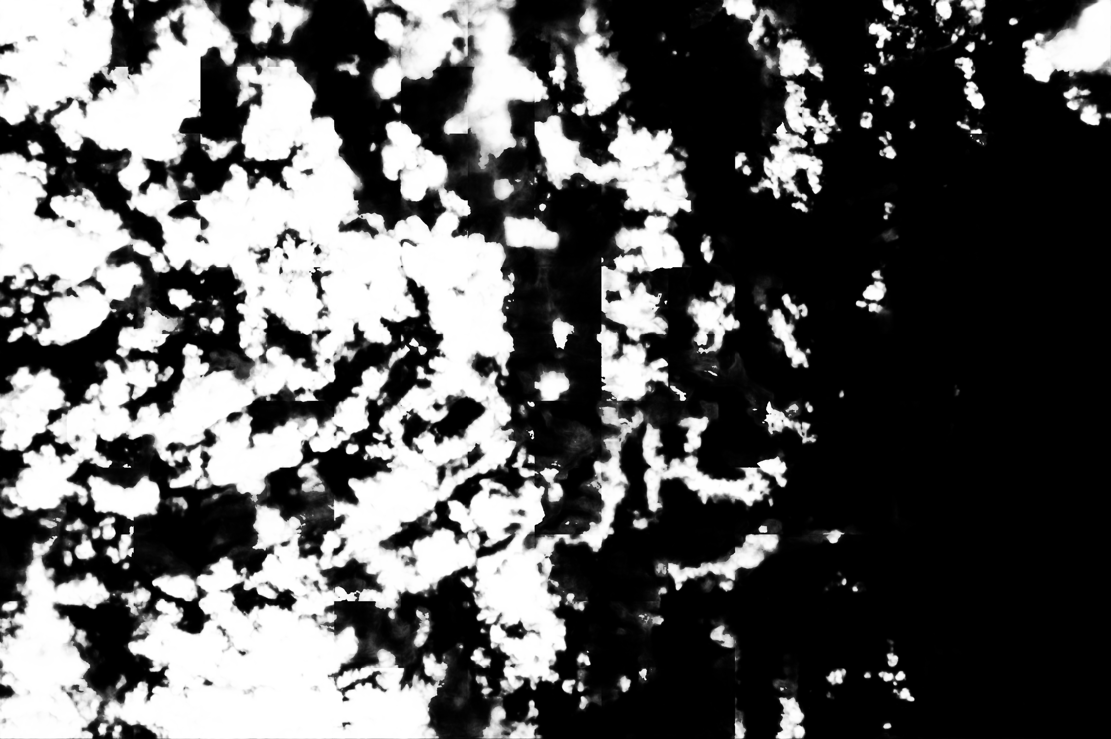 cloud mask image display 