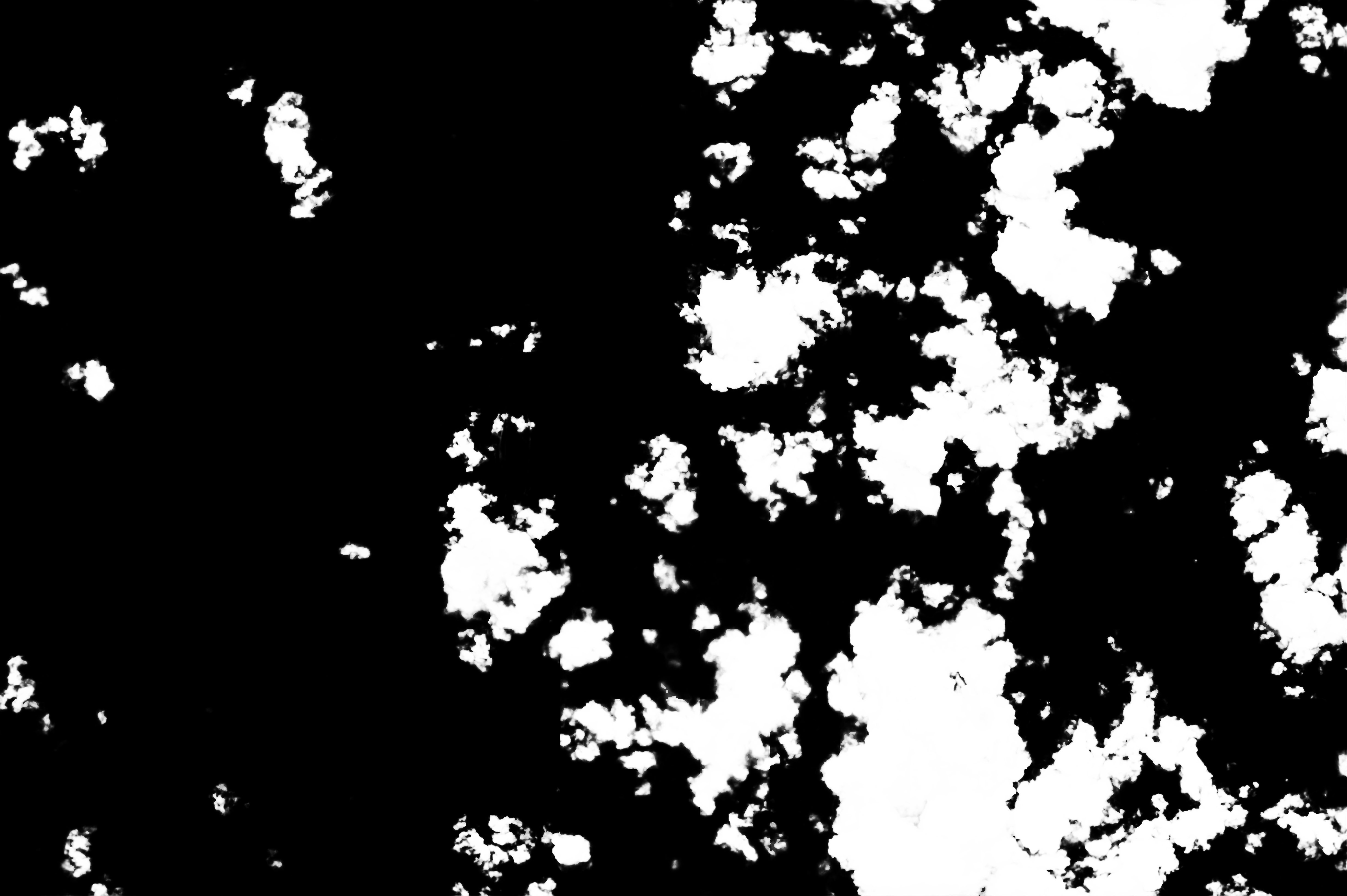 cloud mask image display 