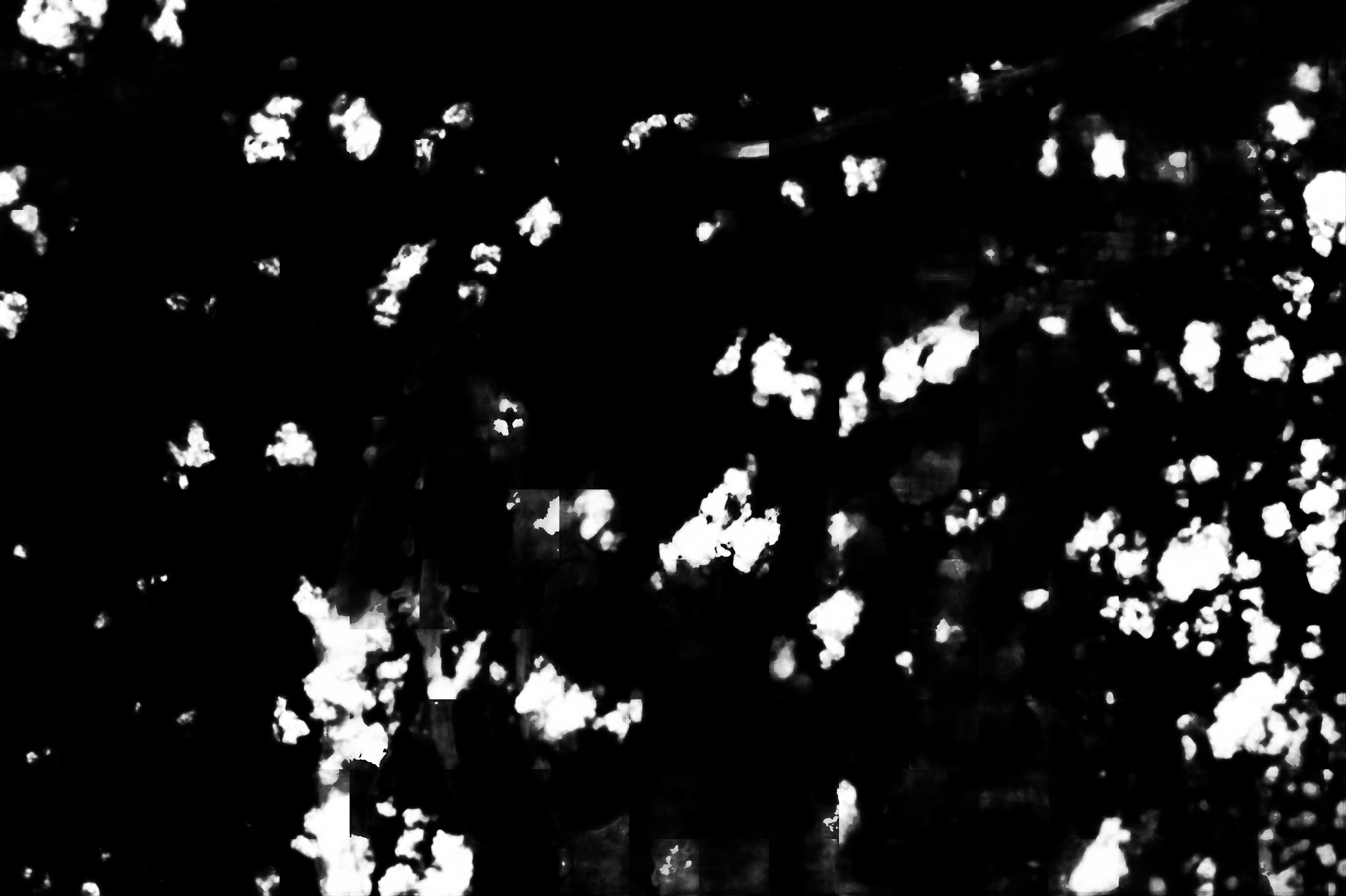 cloud mask image display 